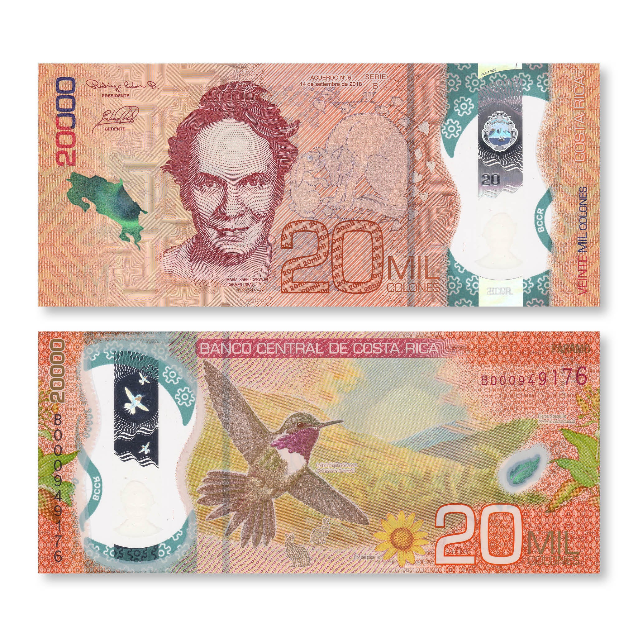 Costa Rica Full Set: 1,000–20,000 Colones, 2018–2021, B564-B568, UNC - Robert's World Money - World Banknotes