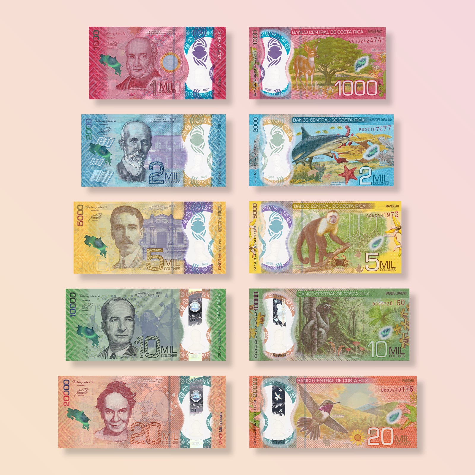 Costa Rica Full Set: 1,000–20,000 Colones, 2018–2021, B564-B568, UNC - Robert's World Money - World Banknotes