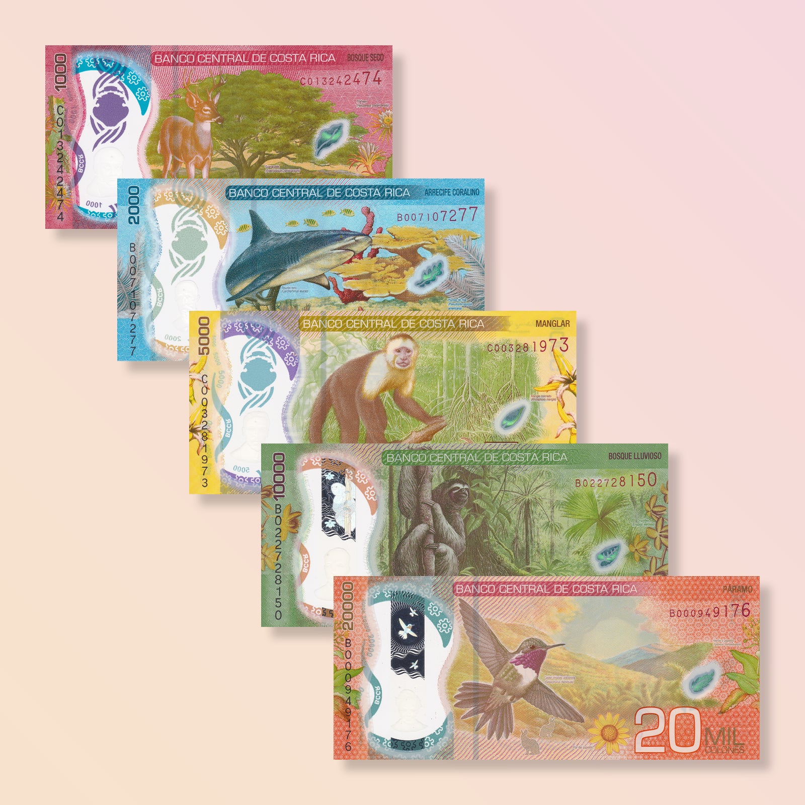 Costa Rica Full Set: 1,000–20,000 Colones, 2018–2021, B564-B568, UNC - Robert's World Money - World Banknotes