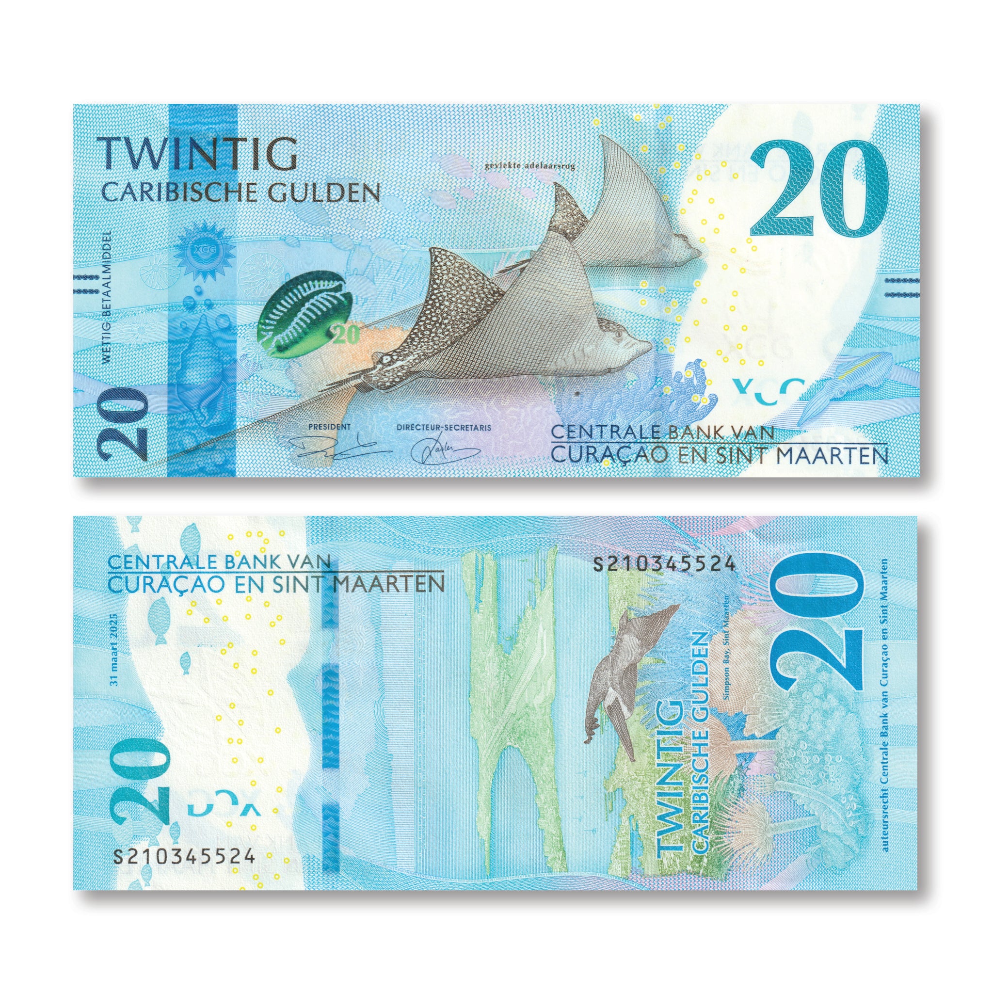Guilders Sign Caribbean Guilder Full Set: 10–200 Guilders, 2025, UNC – Robert's World ...