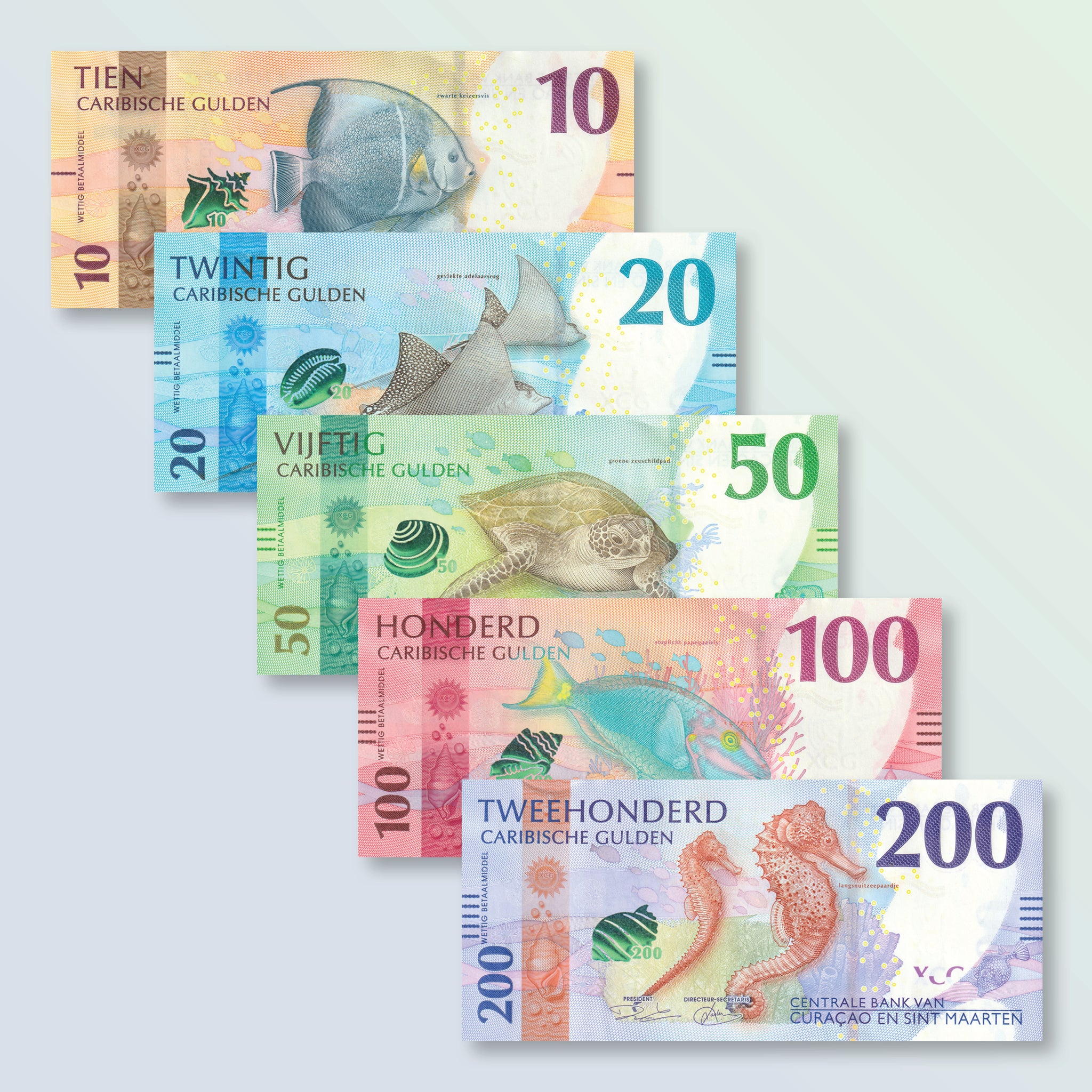 Guilders Sign Caribbean Guilder Full Set: 10–200 Guilders, 2025, UNC – Robert's World ...