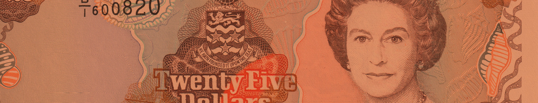 Robert's World Money