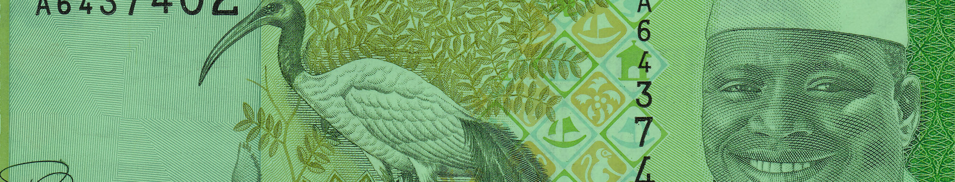 Robert's World Money