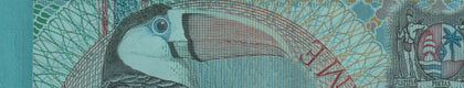 Robert's World Money
