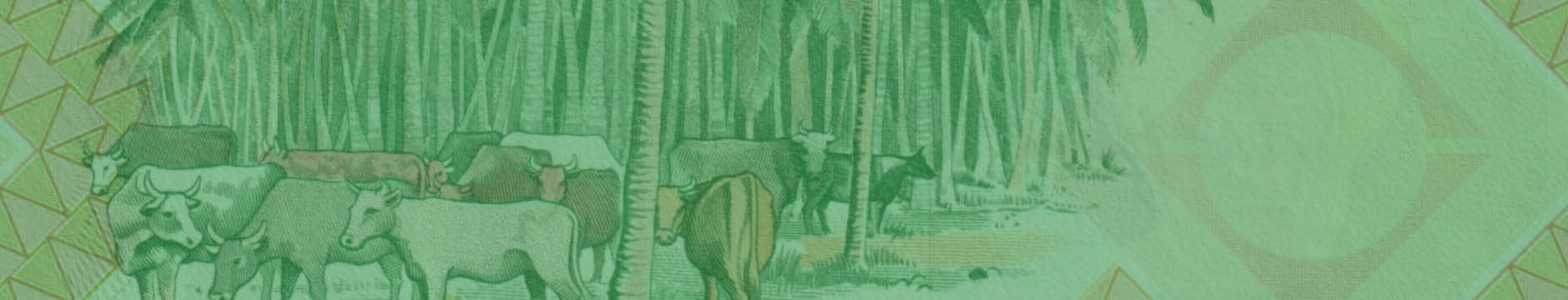 Robert's World Money