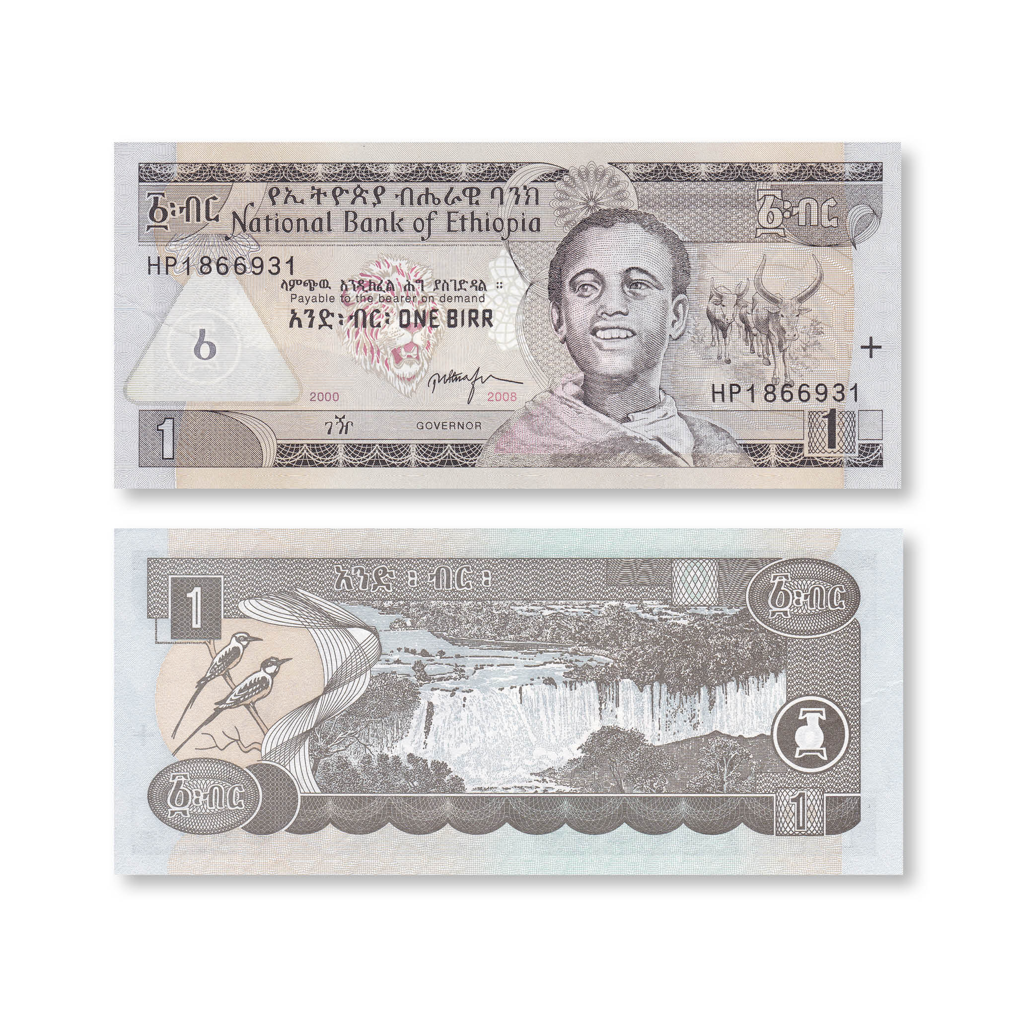 Ethiopia 1 Birr, 2000/2008, B330c, P46, UNC - Robert's World Money - World Banknotes