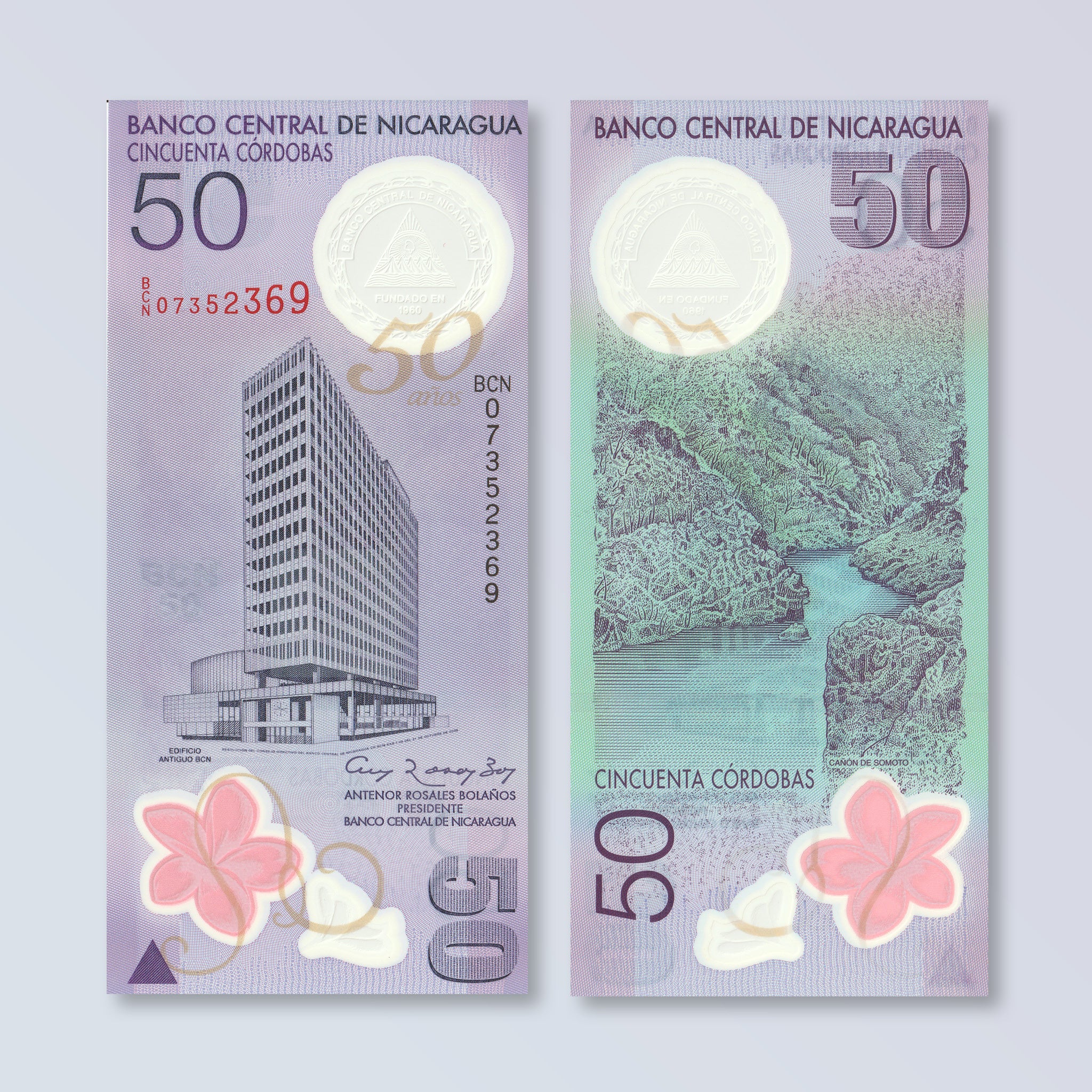 Nicaragua 50 Córdobas, 2009, B503a, P207a, UNC - Robert's World Money - World Banknotes