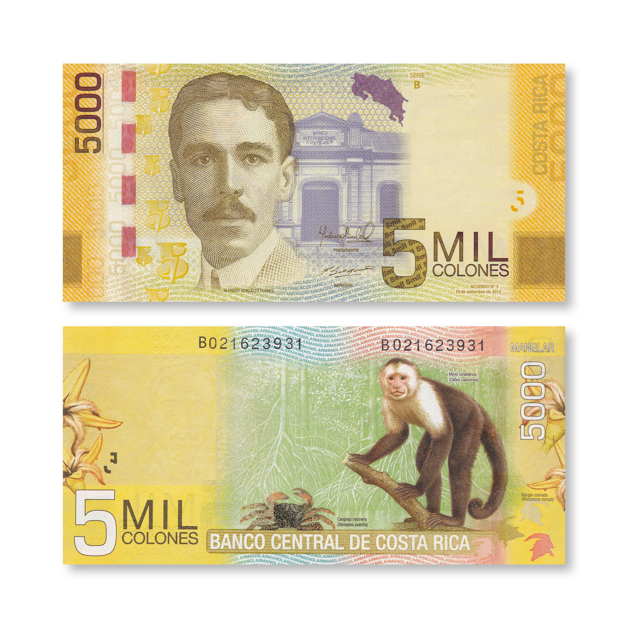 Costa Rica 5000 Colones, 2012, B560b, P276b, UNC - Robert's World Money - World Banknotes