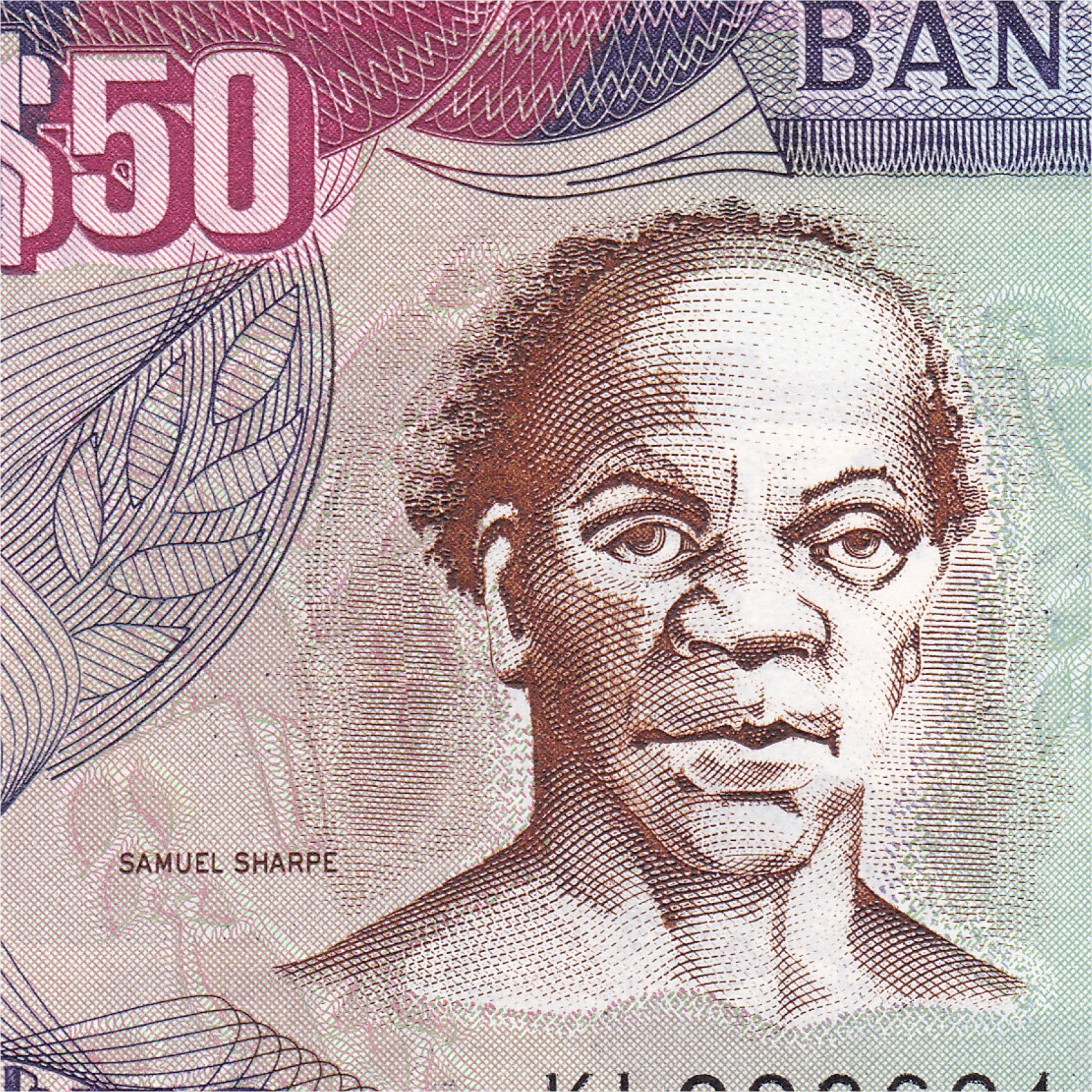 Jamaica 50 Dollars, 2004, B234e, P79e, UNC - Robert's World Money - World Banknotes