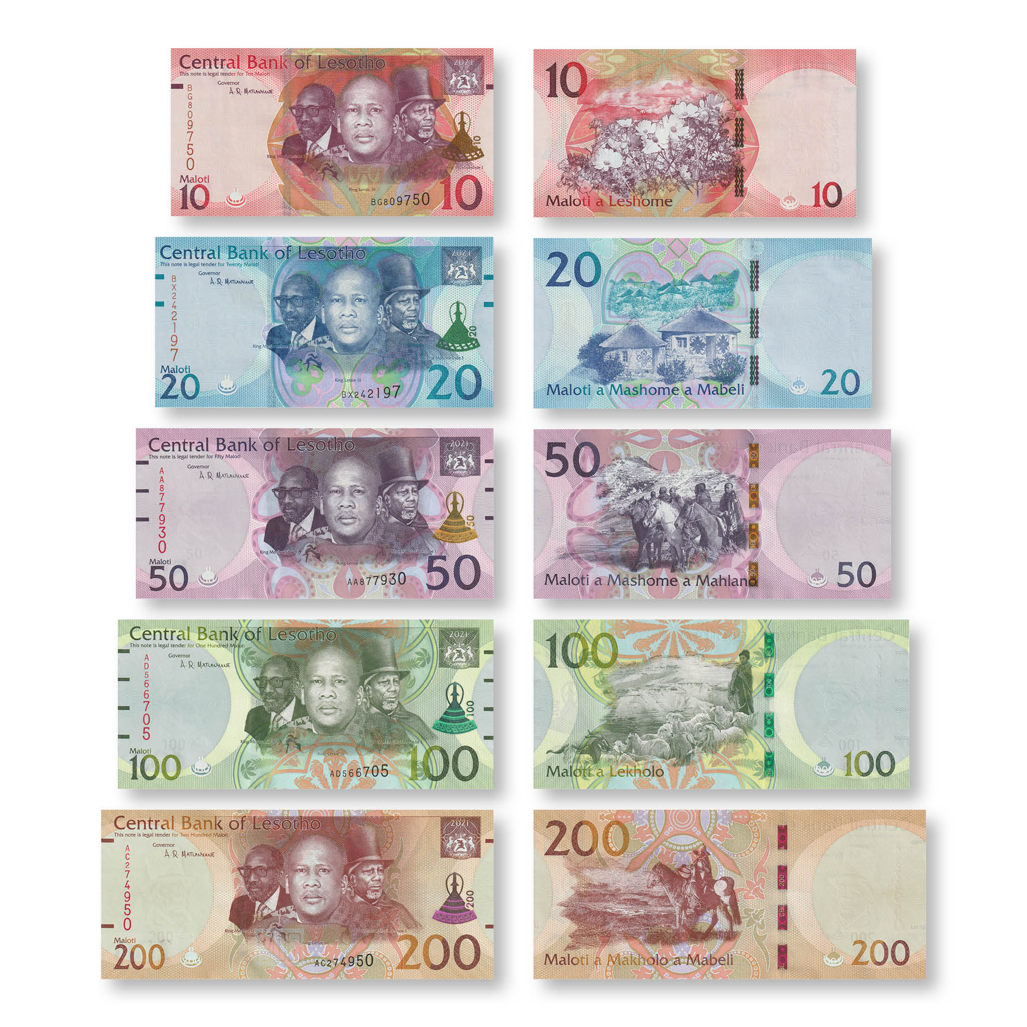 Lesotho Set: 10–200 Maloti, 2021, B227–B231, UNC - Robert's World Money - World Banknotes