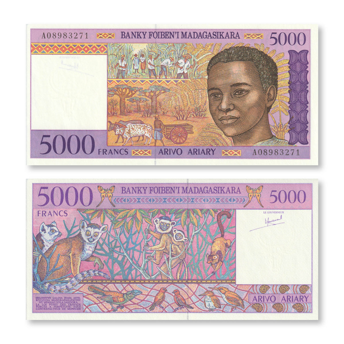 Madagascar 5000 Francs, 1995, B314a, P78a, UNC - Robert's World Money - World Banknotes