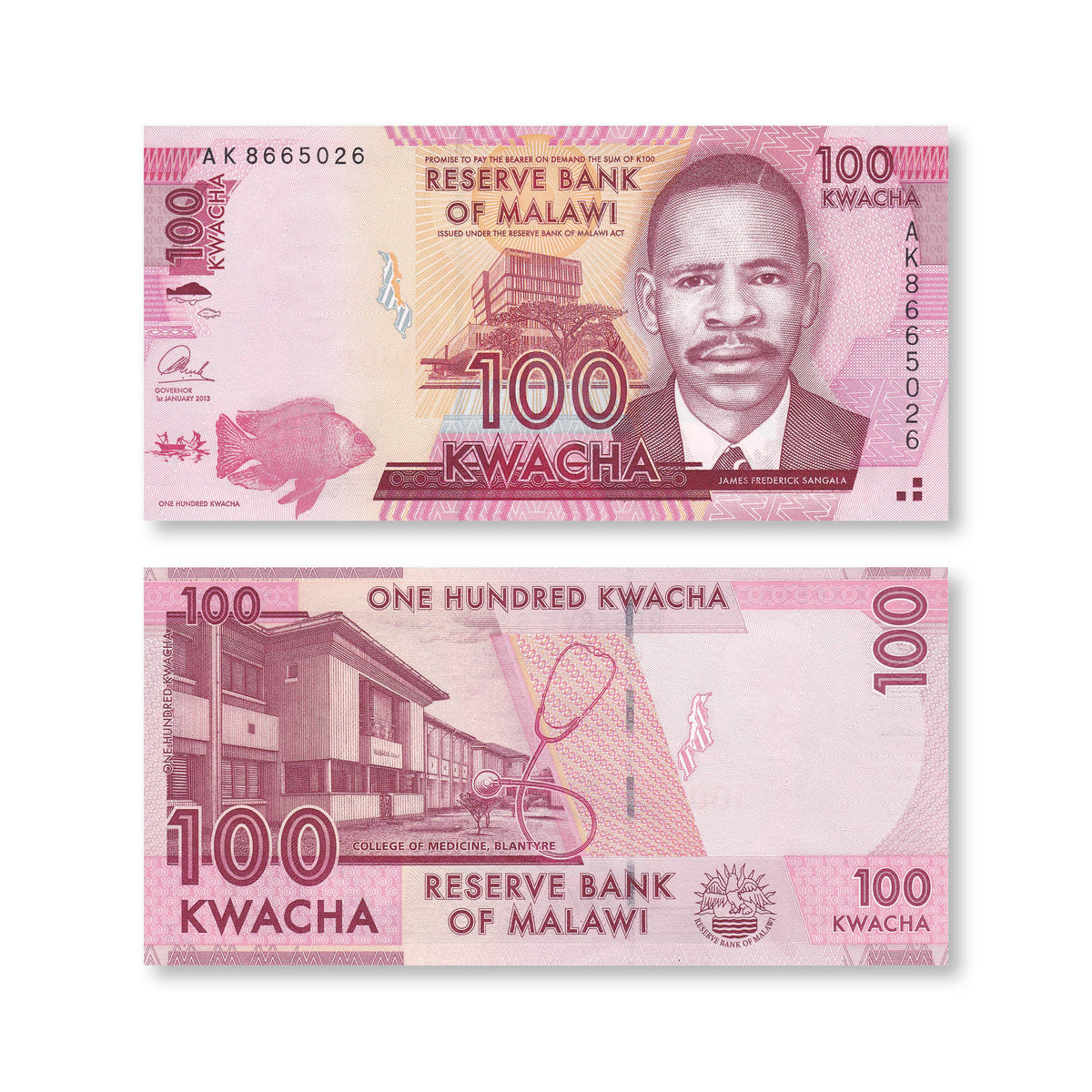 Malawi 100 Kwacha, 2013, B152b, P59b, UNC - Robert's World Money - World Banknotes