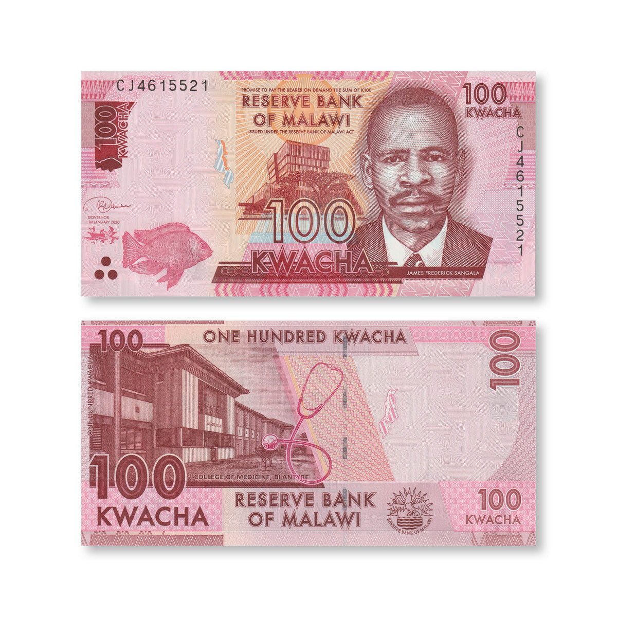 Malawi 100 Kwacha, 2020, B159e, P65, UNC - Robert's World Money - World Banknotes