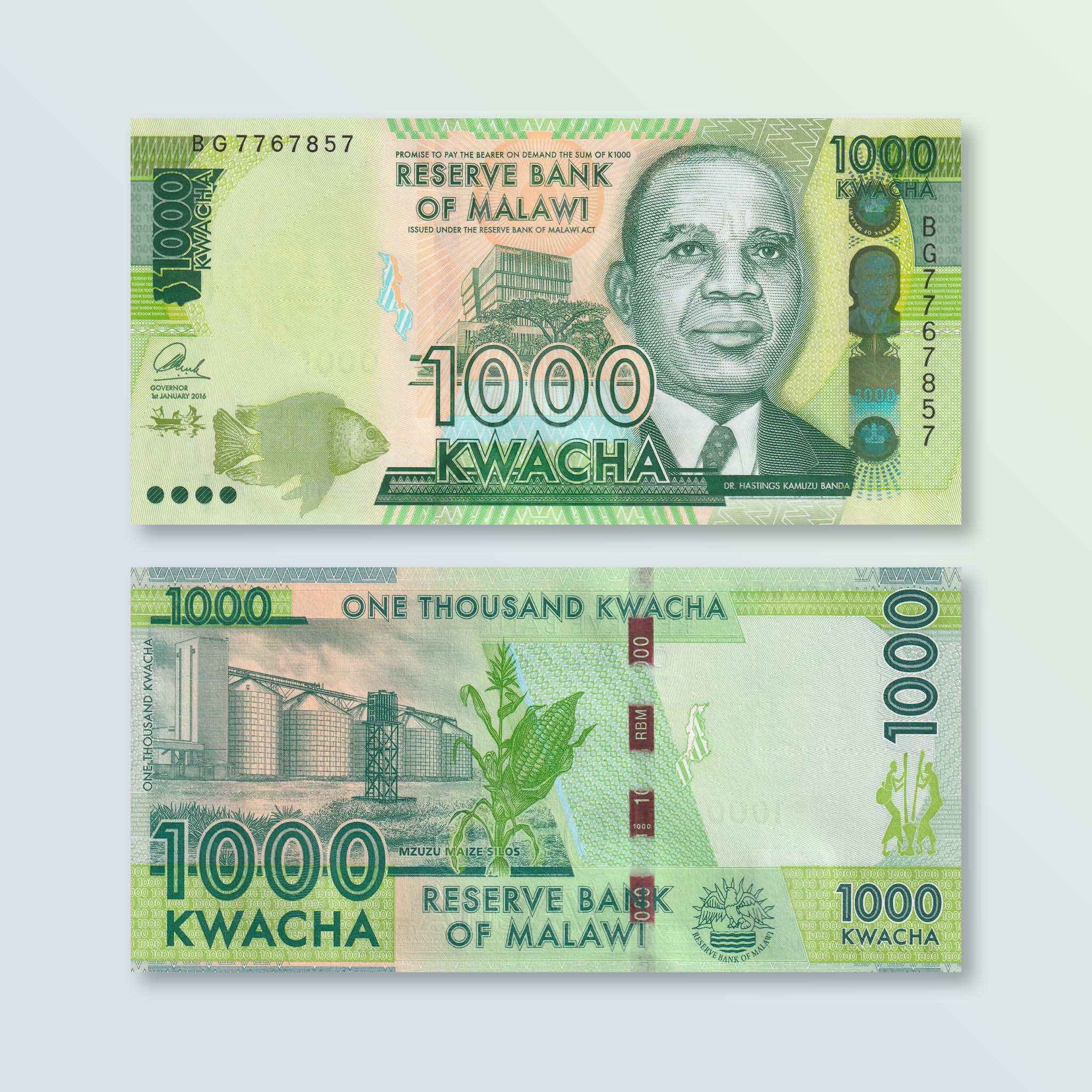 Malawi 1000 Kwacha, 2016, B162b, P67b, UNC - Robert's World Money - World Banknotes