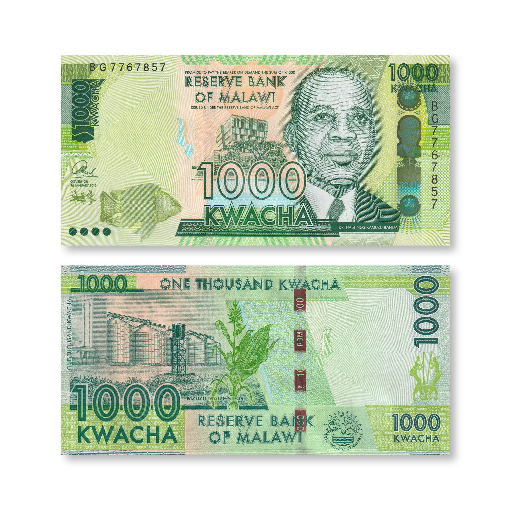 Malawi 1000 Kwacha, 2016, B162b, P67b, UNC - Robert's World Money - World Banknotes