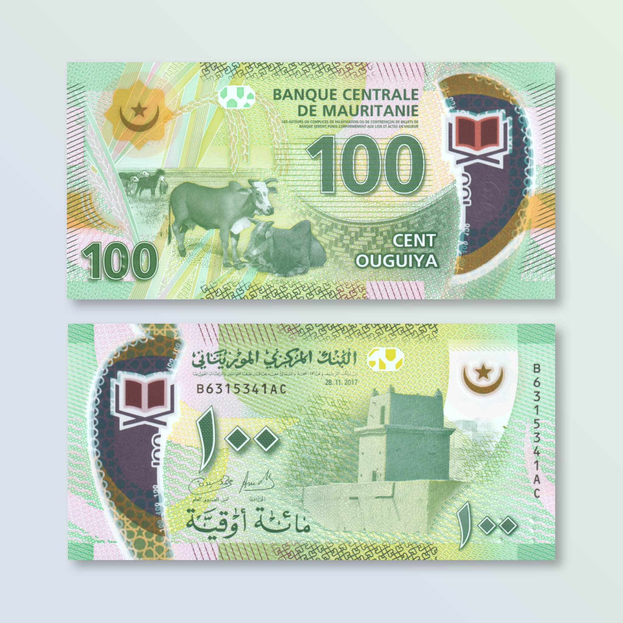 Mauritania 100 Ouguiya, 2017, B127a, P23, UNC - Robert's World Money - World Banknotes