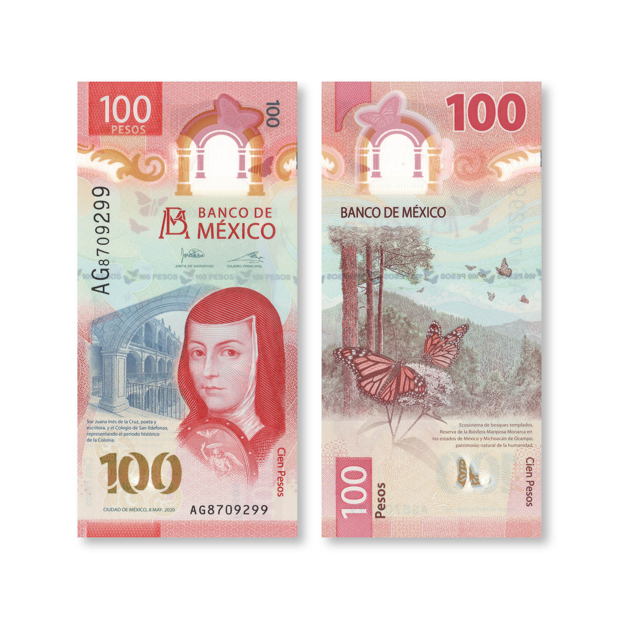 Mexico Full Set: 20–1,000 Pesos, 2019–2023, Current Familia G, UNC - Robert's World Money - World Banknotes
