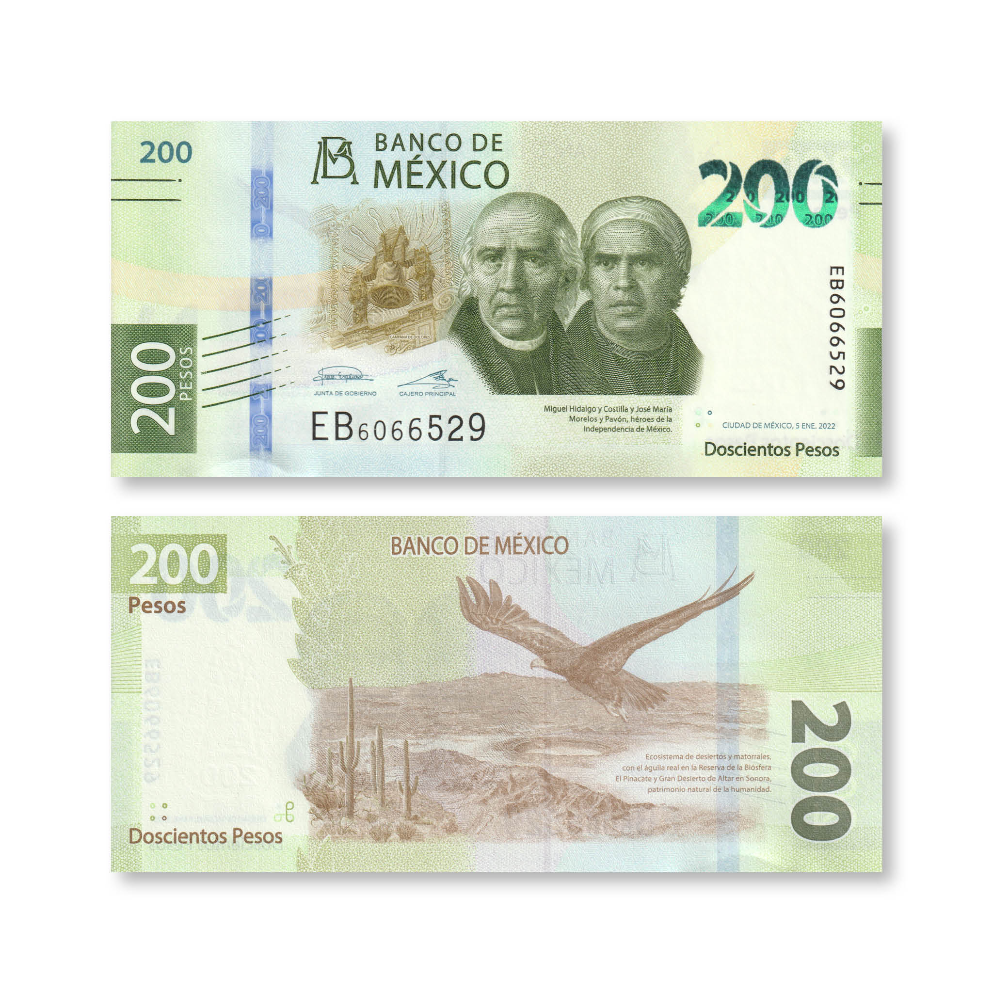 Mexico Full Set: 20–1,000 Pesos, 2019–2023, Current Familia G, UNC - Robert's World Money - World Banknotes