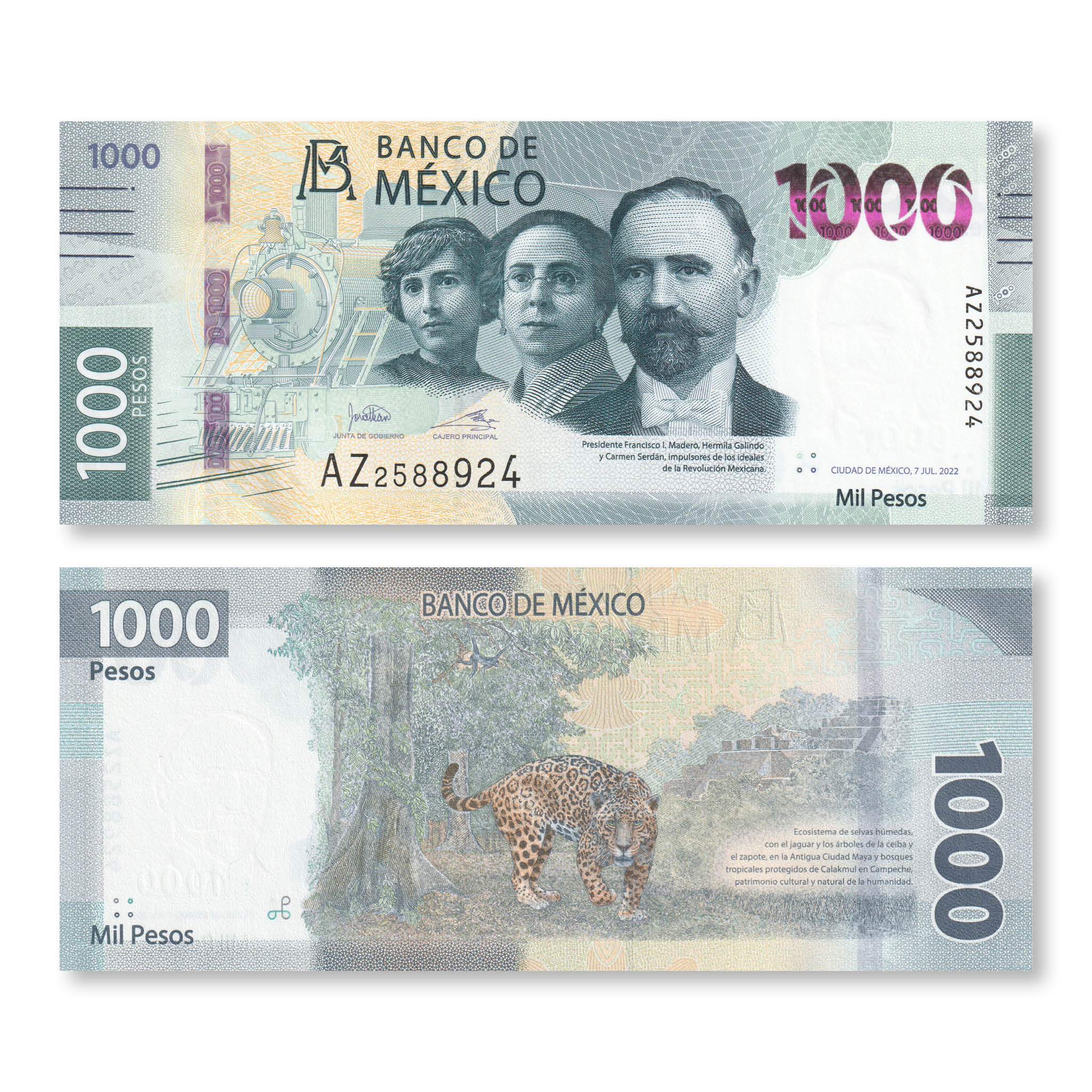 Mexico Full Set: 20–1,000 Pesos, 2019–2023, Current Familia G, UNC - Robert's World Money - World Banknotes