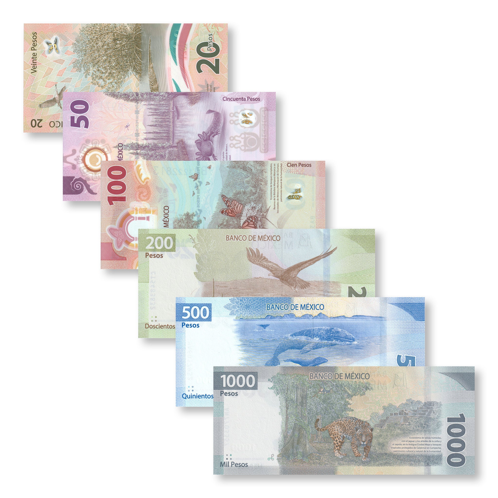 Mexico Full Set: 20–1,000 Pesos, 2019–2023, Current Familia G, UNC - Robert's World Money - World Banknotes