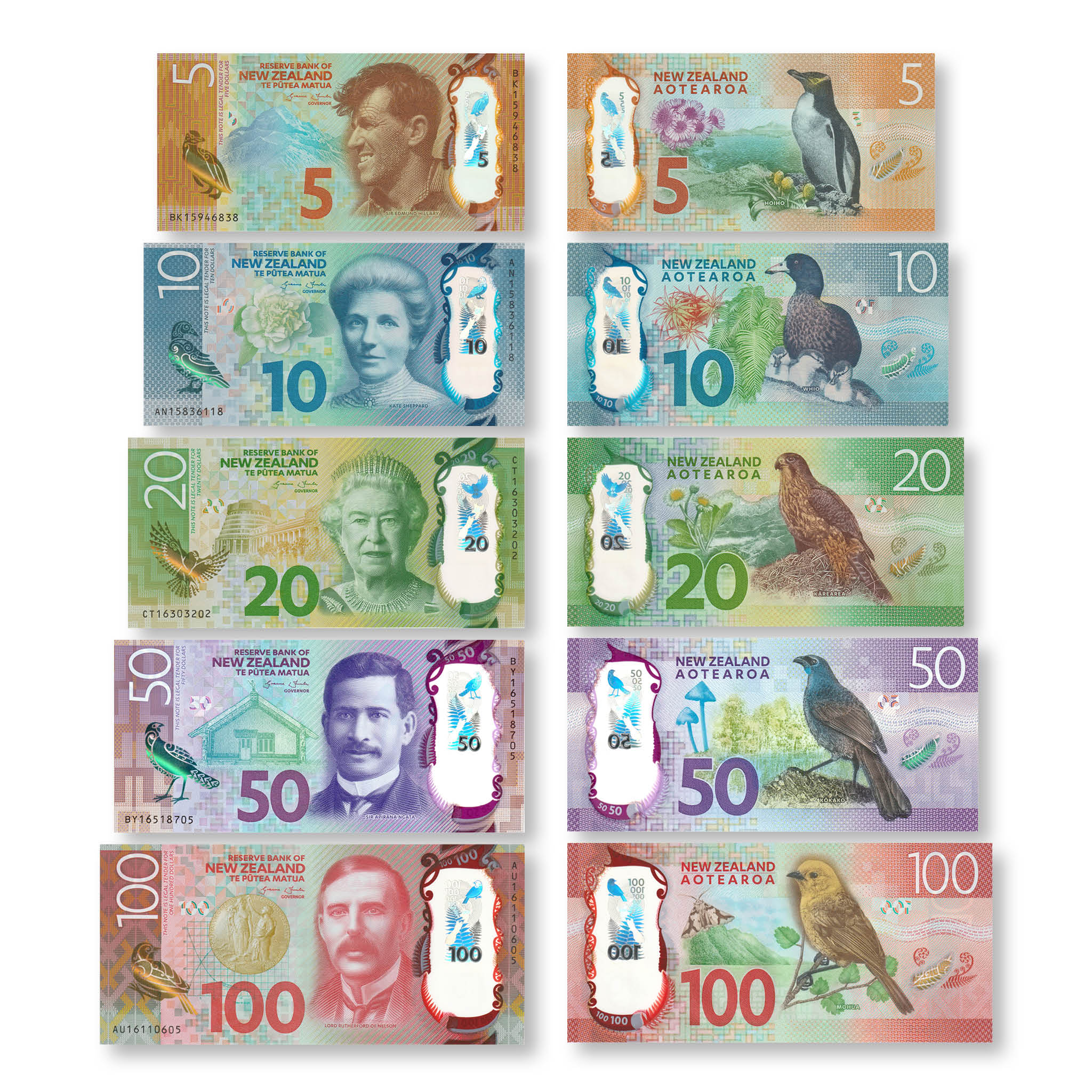 New Zealand Full Set: 5–100 Dollars, 2015–2016, B137–B141, P191–P195, UNC - Robert's World Money - World Banknotes