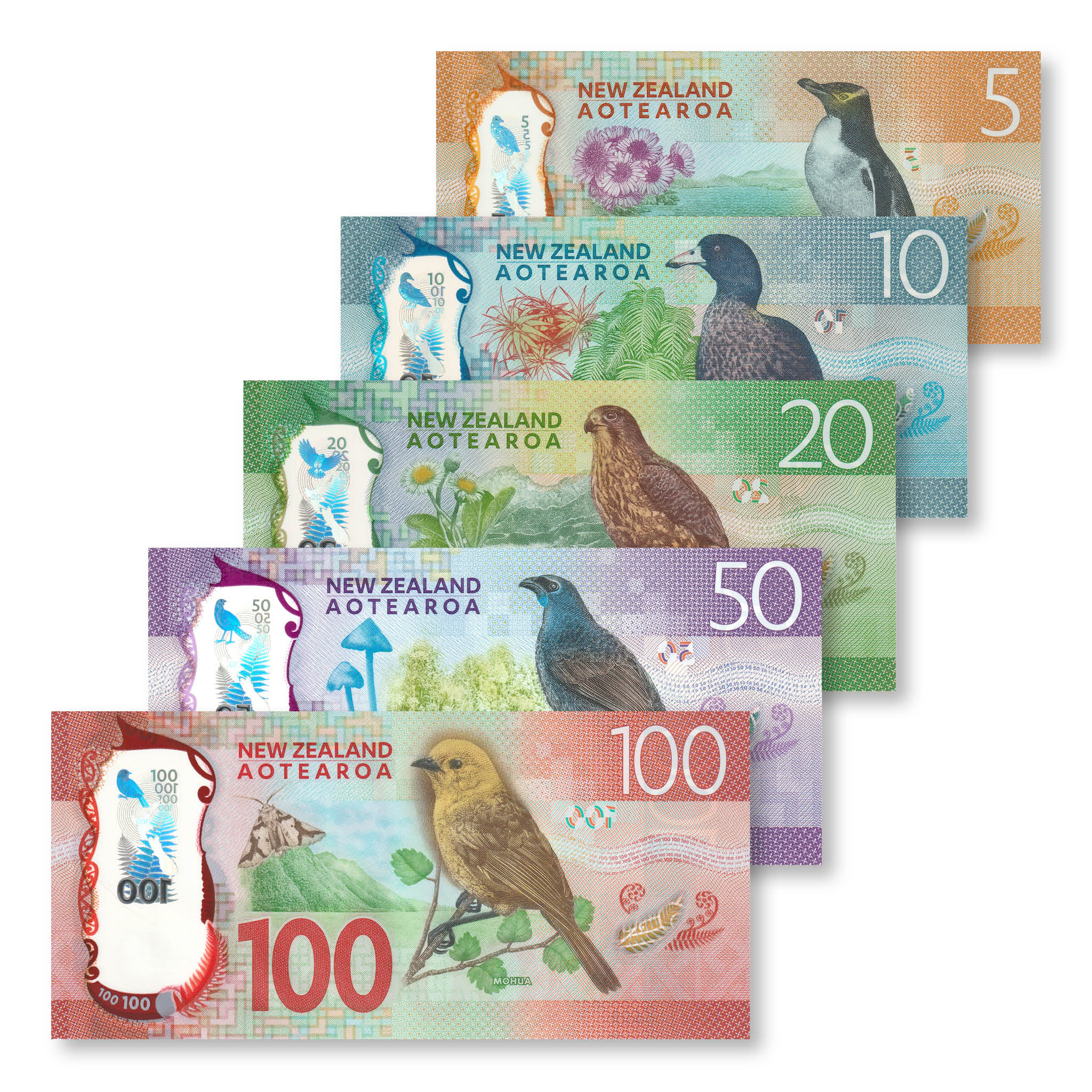 New Zealand Full Set: 5–100 Dollars, 2015–2016, B137–B141, P191–P195, UNC - Robert's World Money - World Banknotes