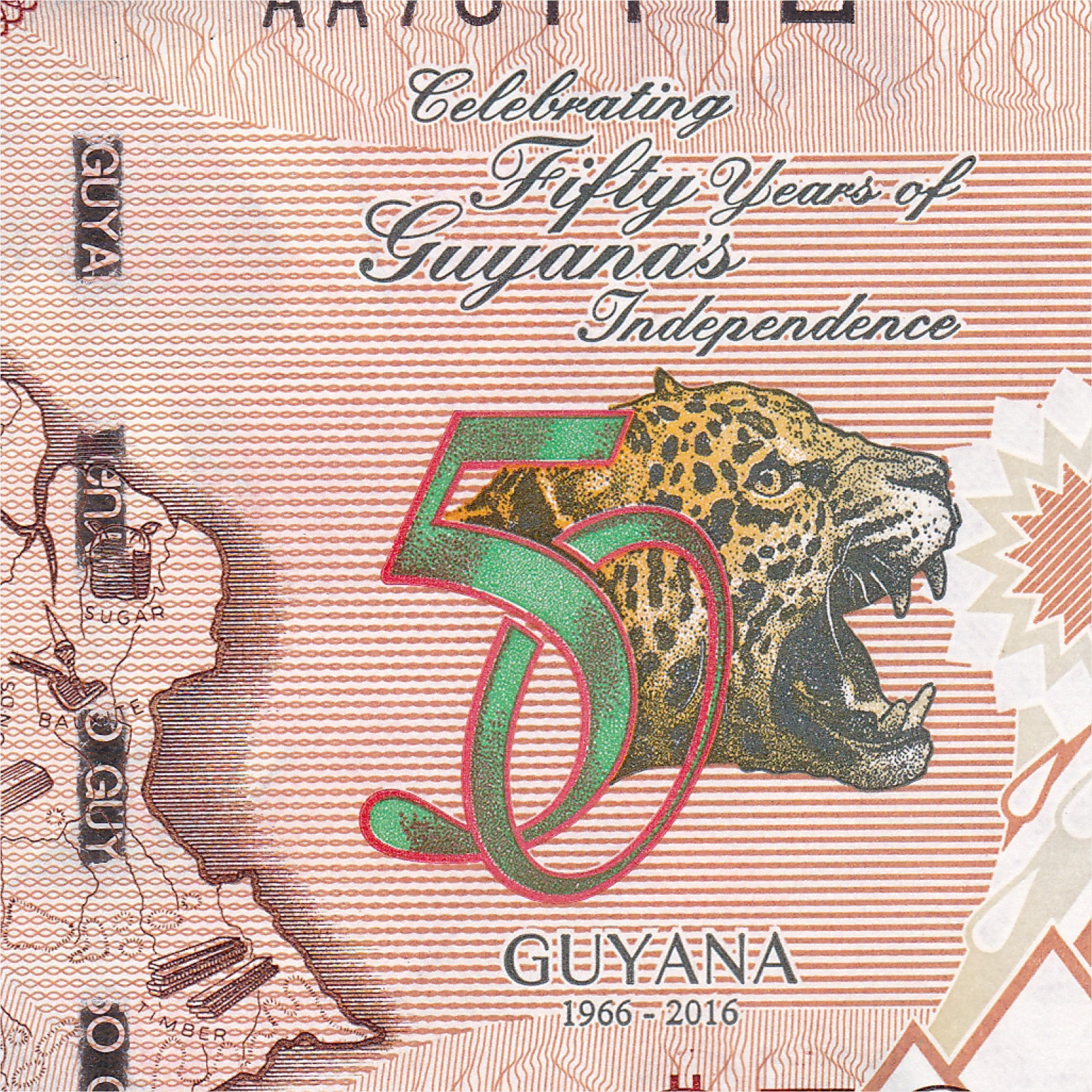 Guyana 50 Dollars, 2016, B119a, P41, UNC - Robert's World Money - World Banknotes