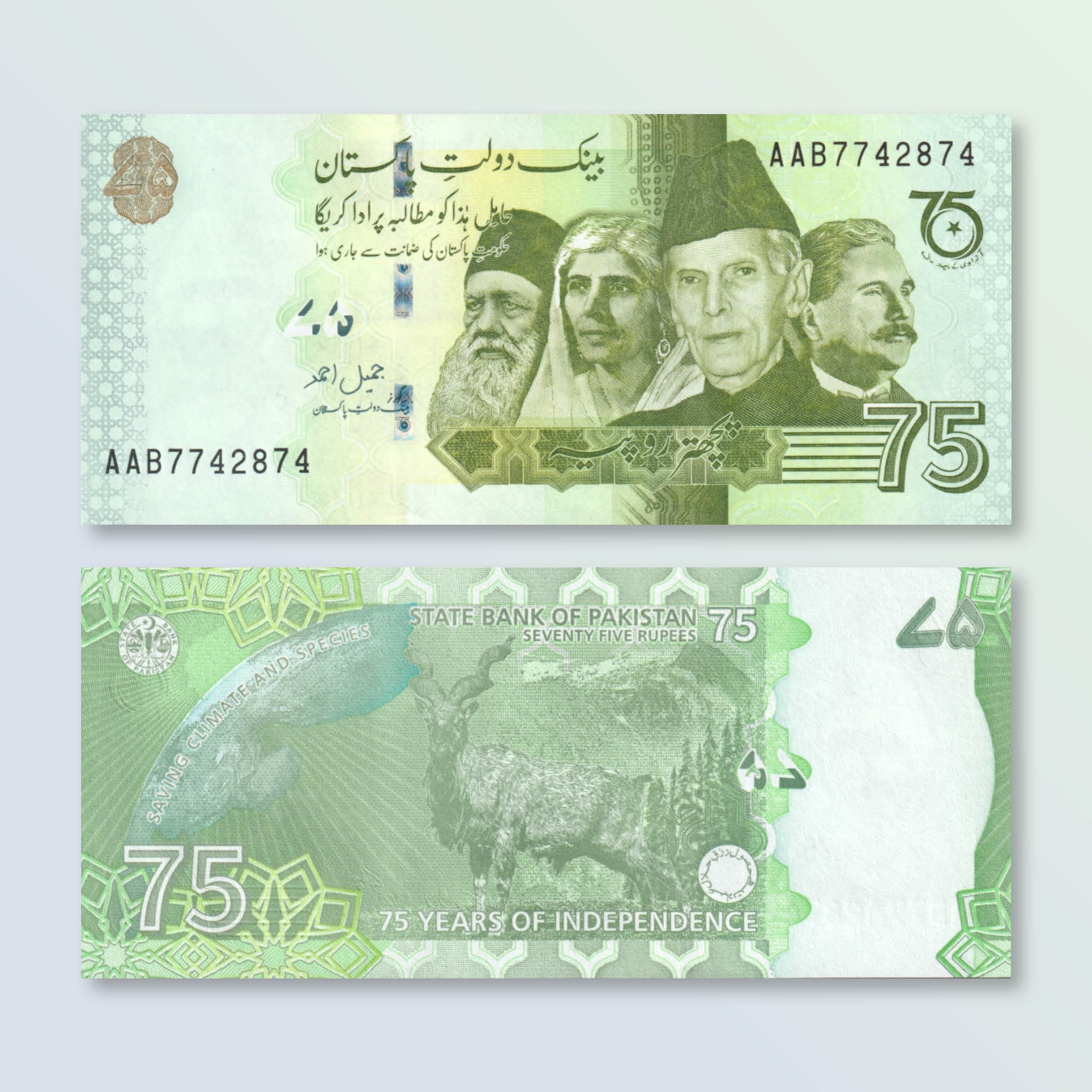 Pakistan 75 Rupees, 2022 Commemorative, B240a, UNC - Robert's World Money - World Banknotes