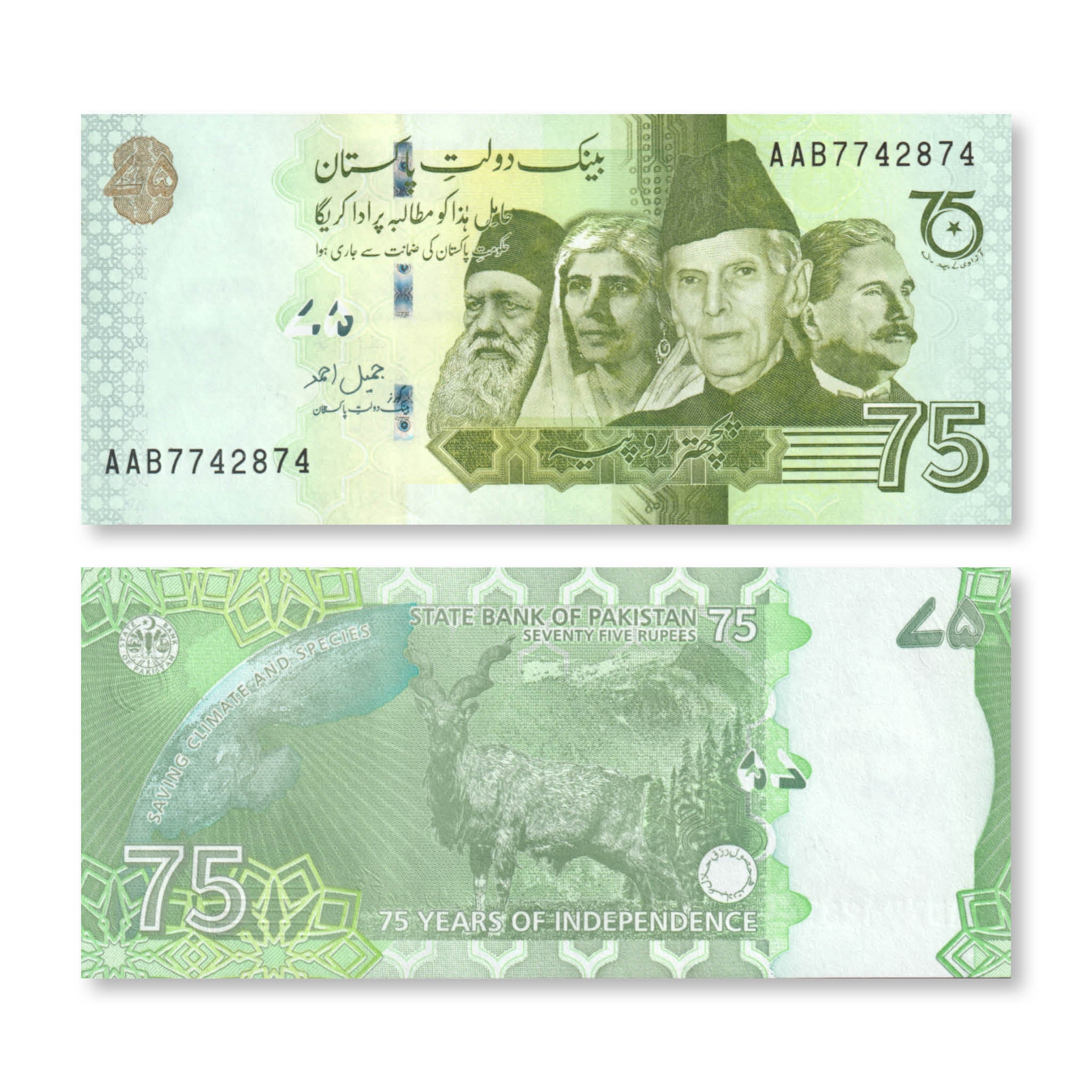 Pakistan 75 Rupees, 2022 Commemorative, B240a, UNC - Robert's World Money - World Banknotes