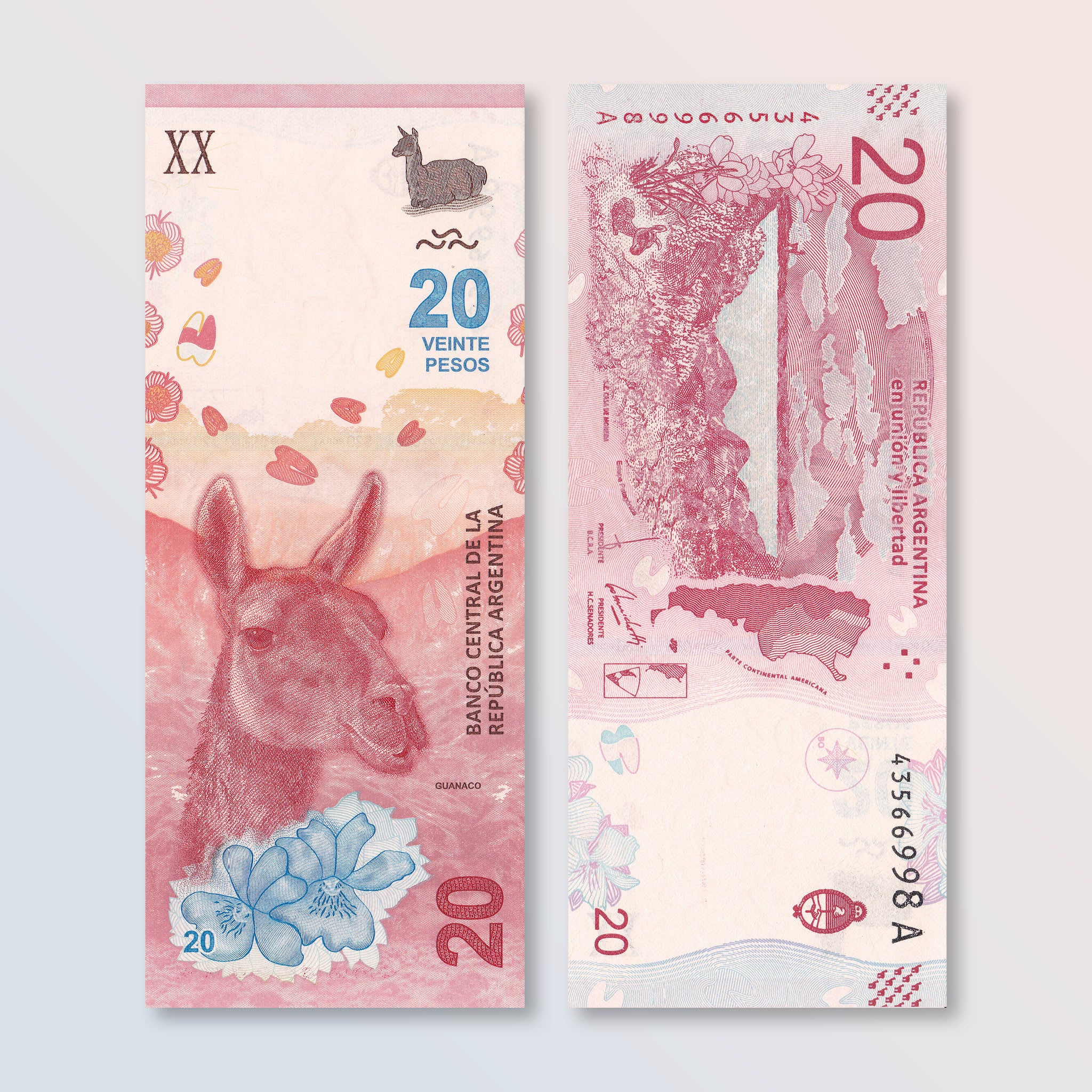 Argentina 20 Pesos, 2017, B417a, P361, UNC - Robert's World Money - World Banknotes