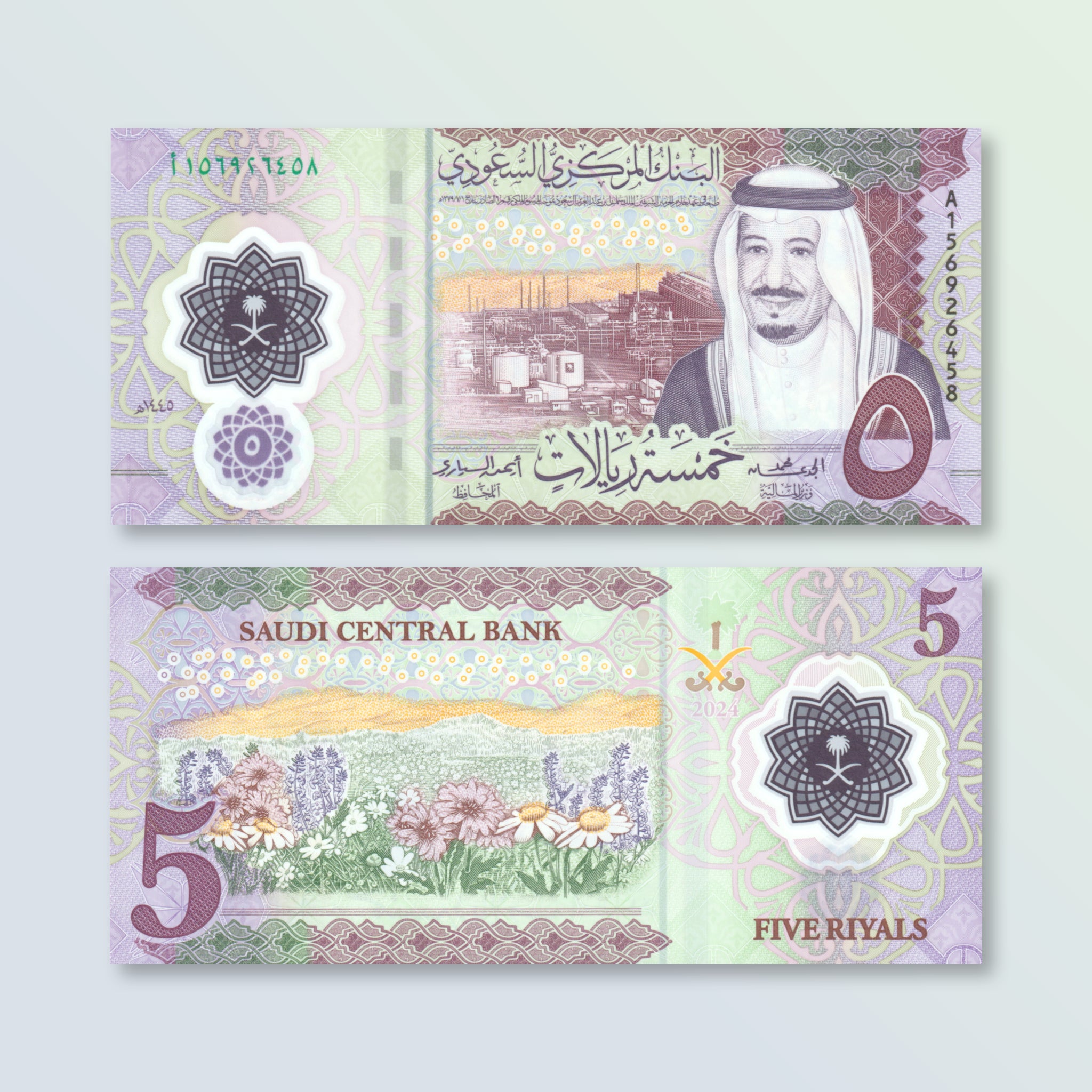 Saudi Arabia 5 Riyals, 2024, Saudi Central Bank, B202a, UNC – Robert's ...