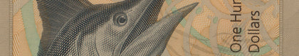 Robert's World Money