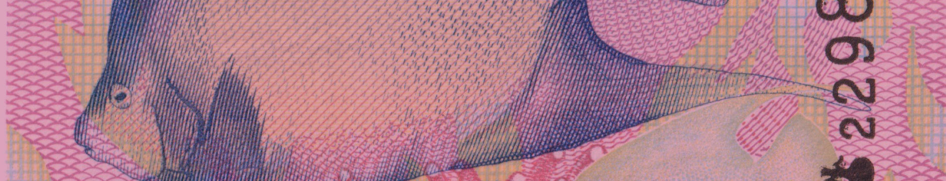 Robert's World Money
