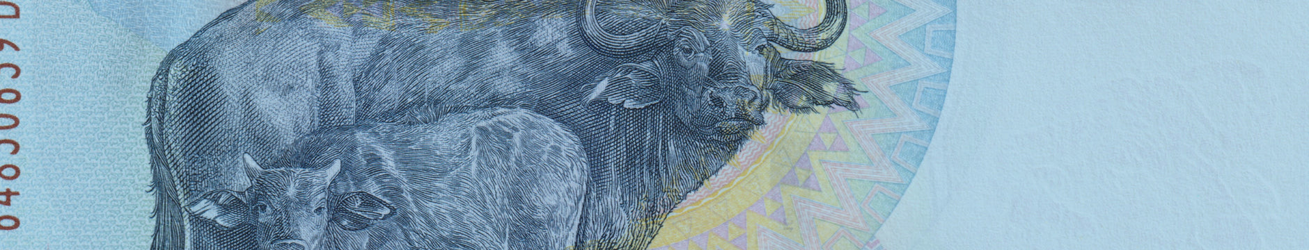 Robert's World Money