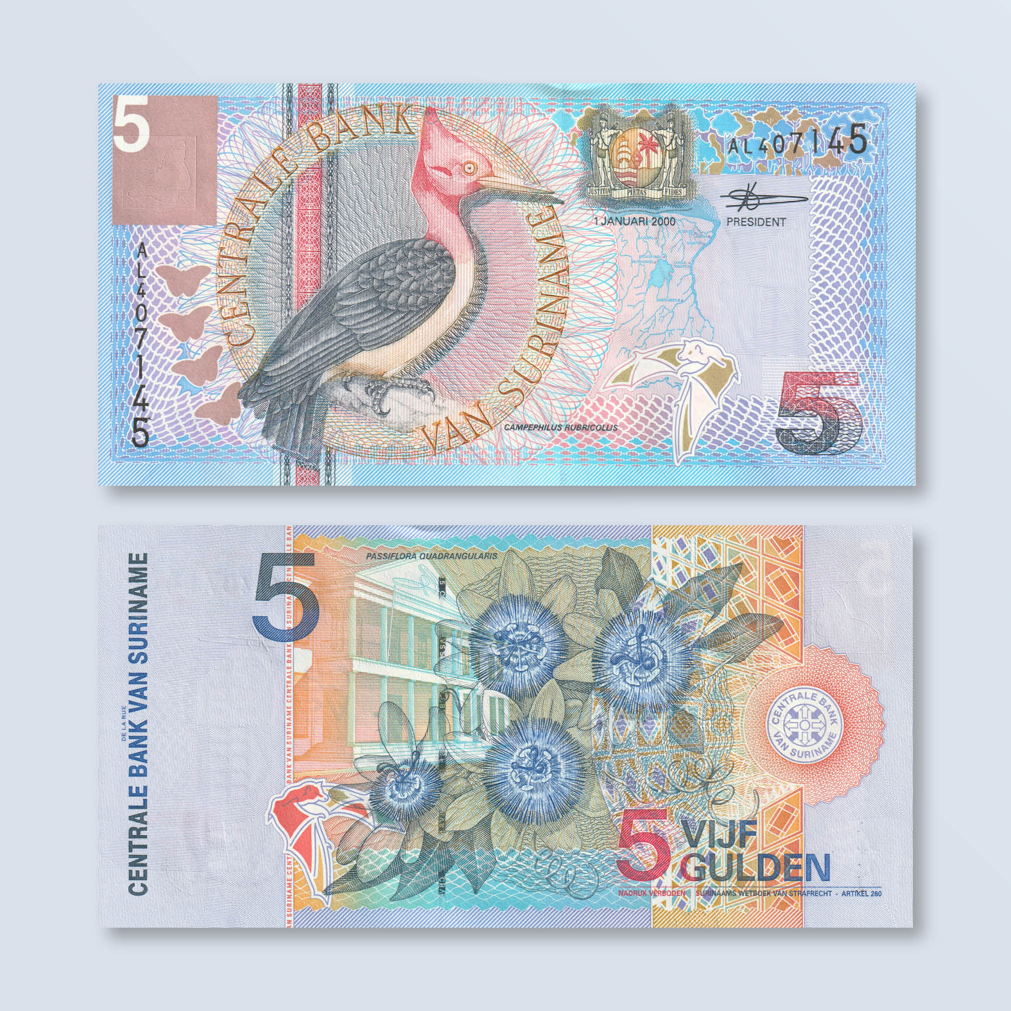 Suriname 5 Gulden, 2000, B531a, P146, UNC - Robert's World Money - World Banknotes