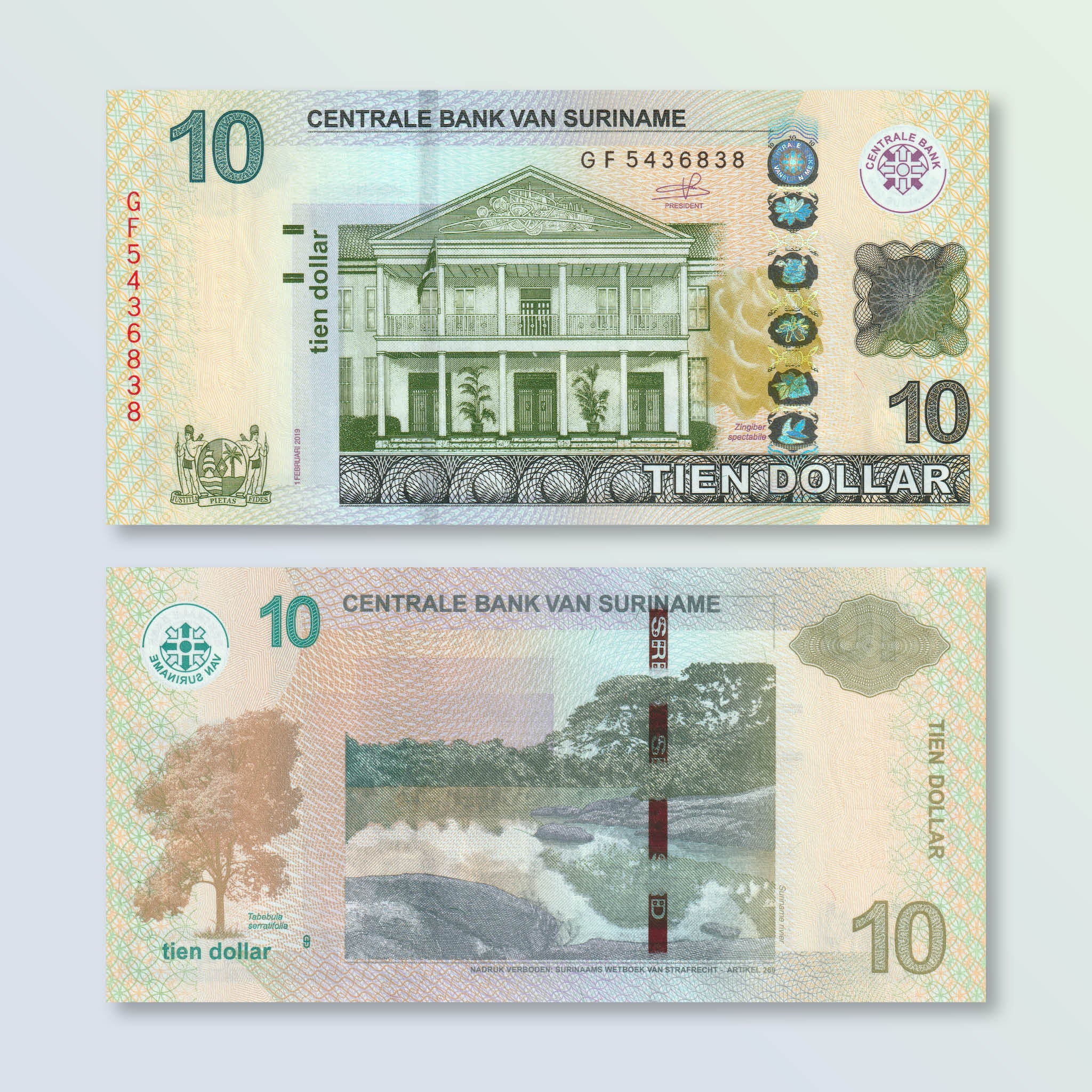 Suriname 10 Dollars, 2019, B546c, P163, UNC - Robert's World Money - World Banknotes