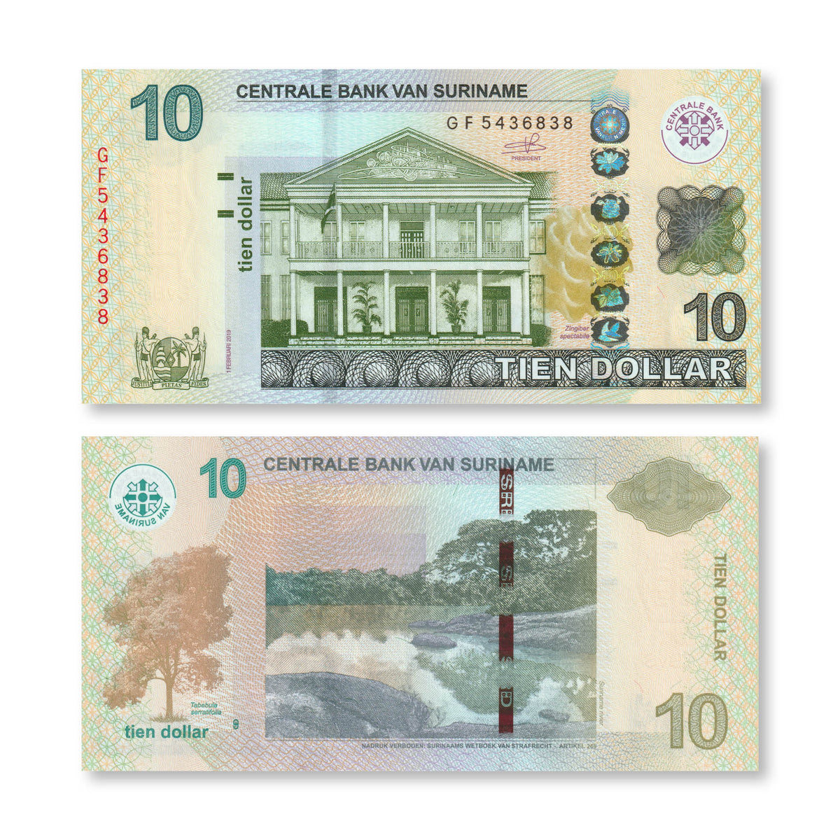Suriname 10 Dollars, 2019, B546c, P163, UNC - Robert's World Money - World Banknotes