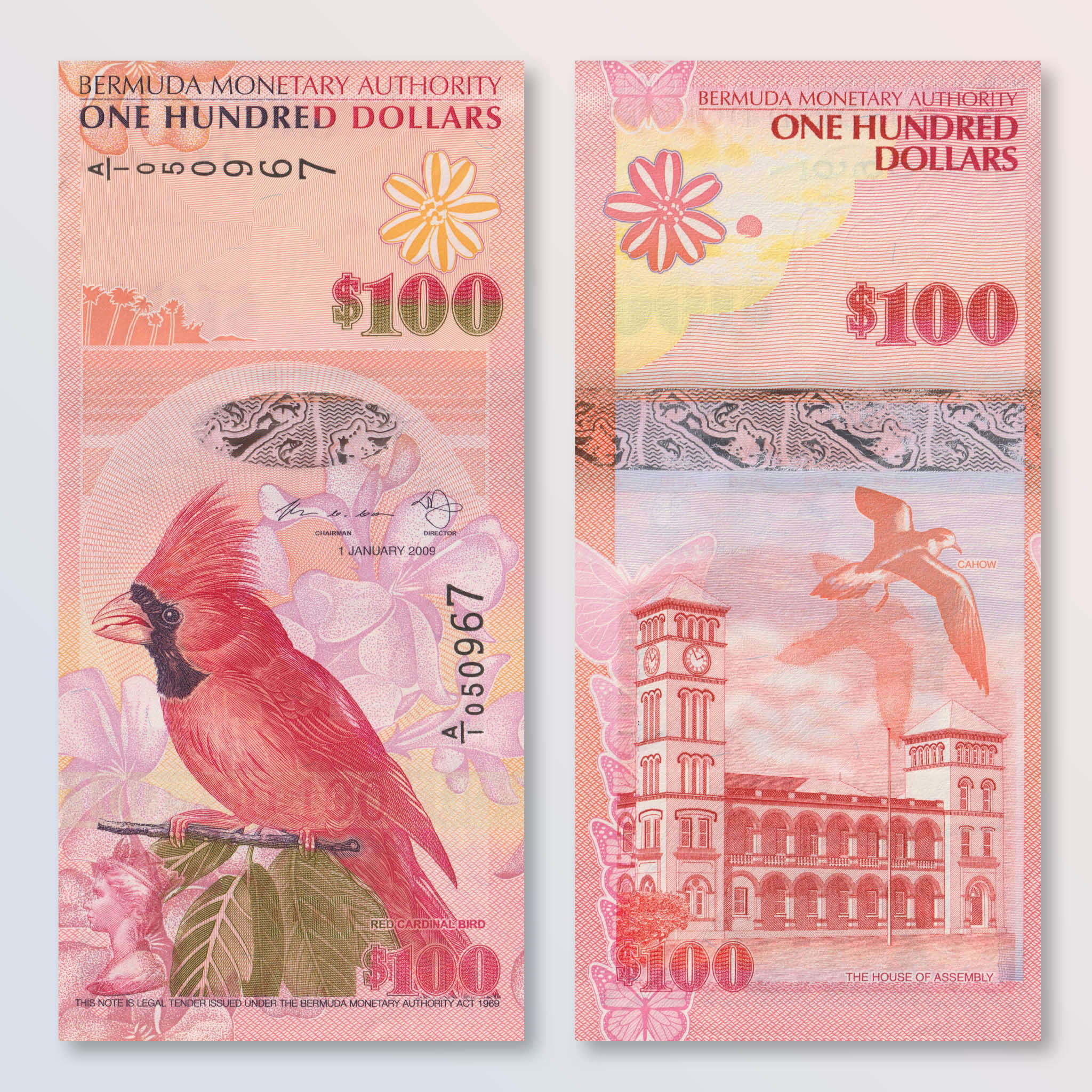 Bermuda 100 Dollars, 2009, B235a, P62a, UNC - Robert's World Money - World Banknotes