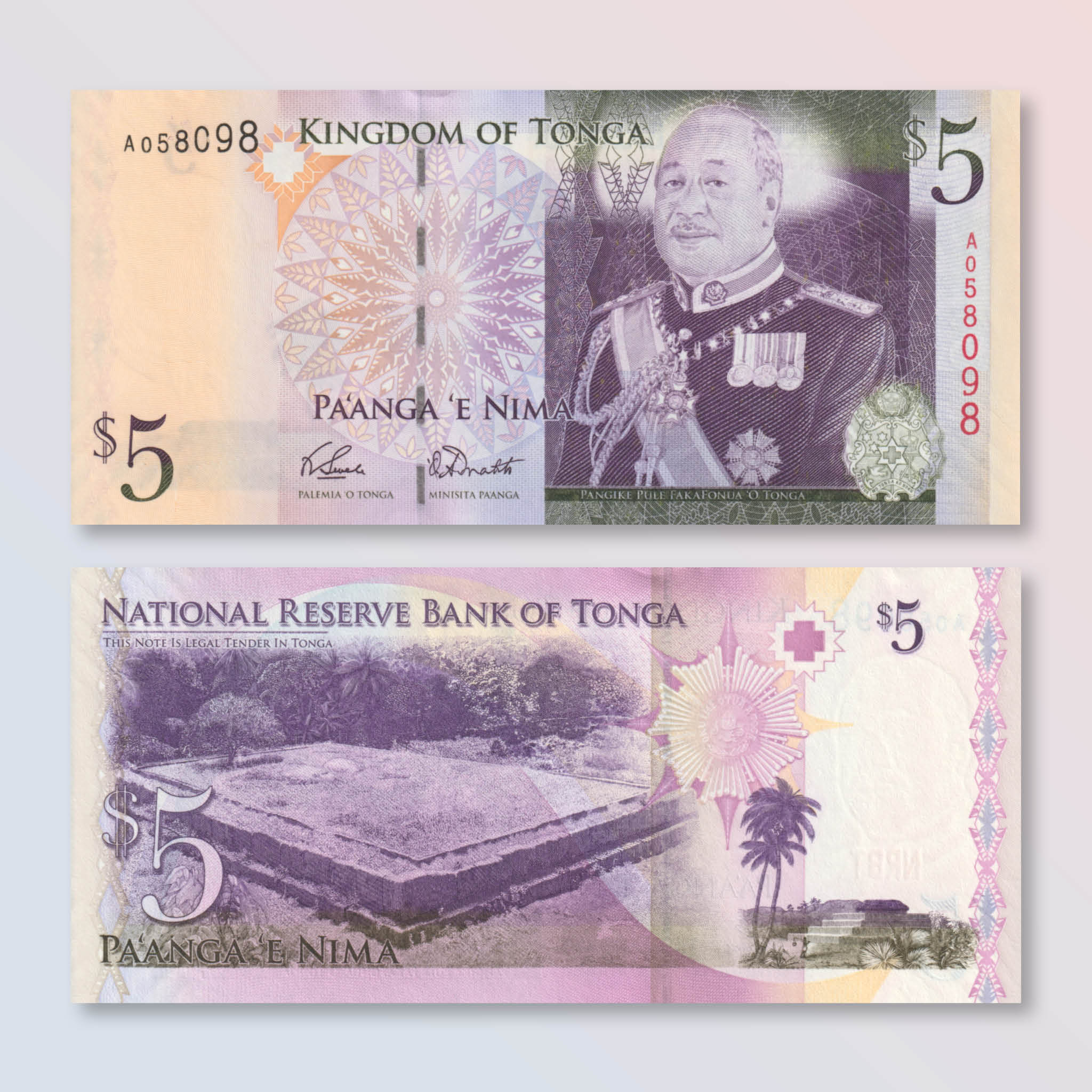 Tonga 5 Pa'anga, 2009, B214a, P39, UNC - Robert's World Money - World Banknotes