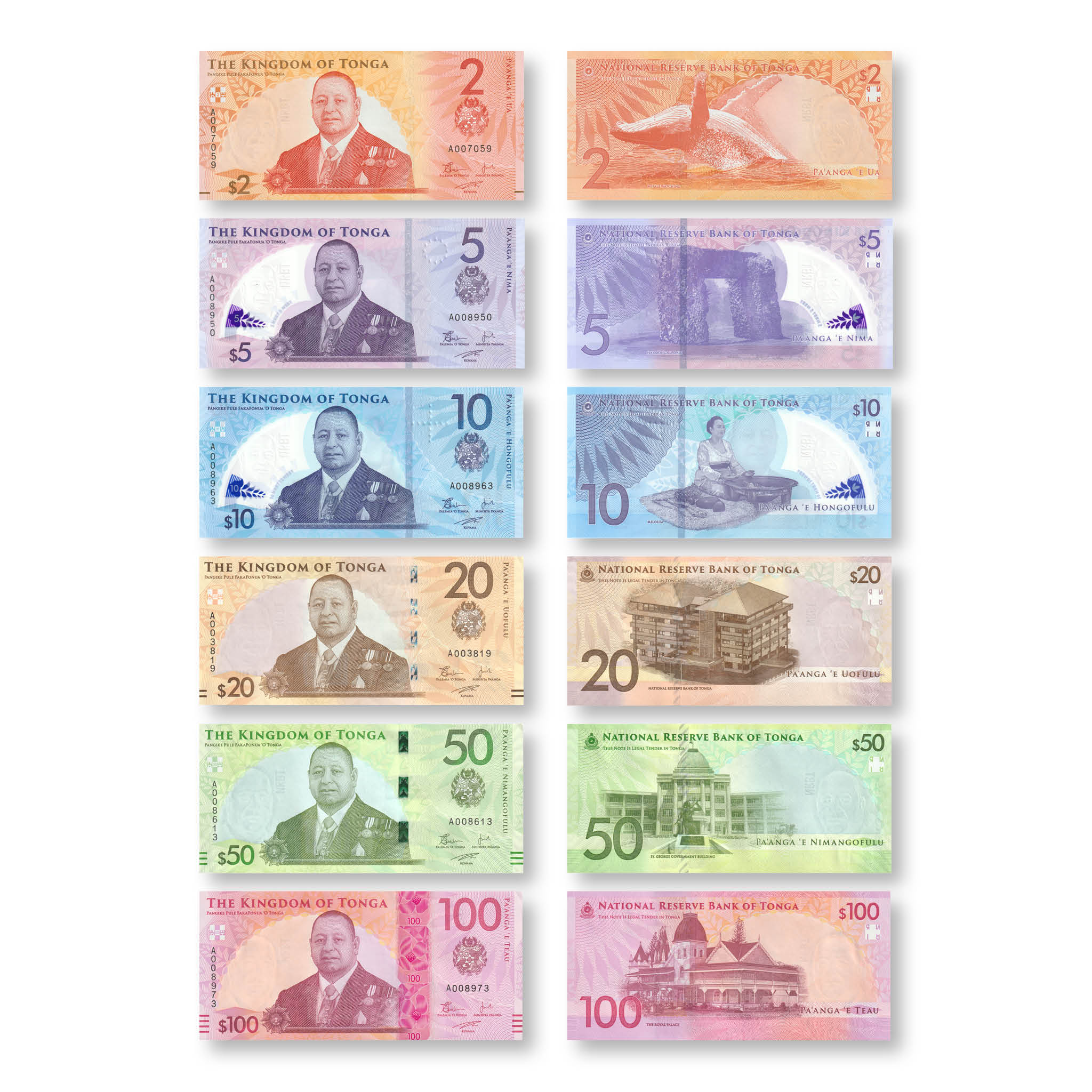 Tonga Full Set: Brand New 2023 Series, 2–100 Pa'anga, B225a–B230a, UNC - Robert's World Money - World Banknotes
