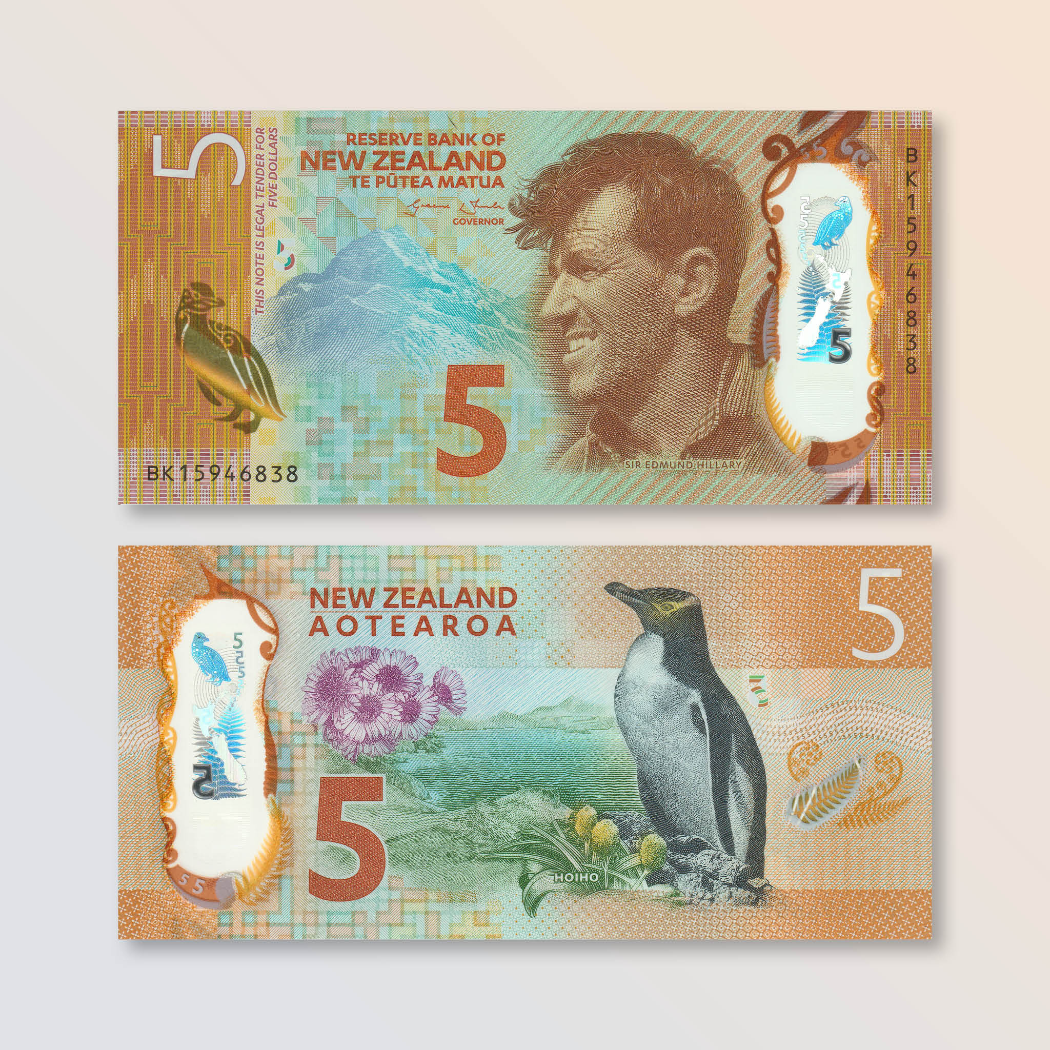 New Zealand 5 Dollars, IBNS Banknote of the Year 2015, B137a, P191, UNC - Robert's World Money - World Banknotes