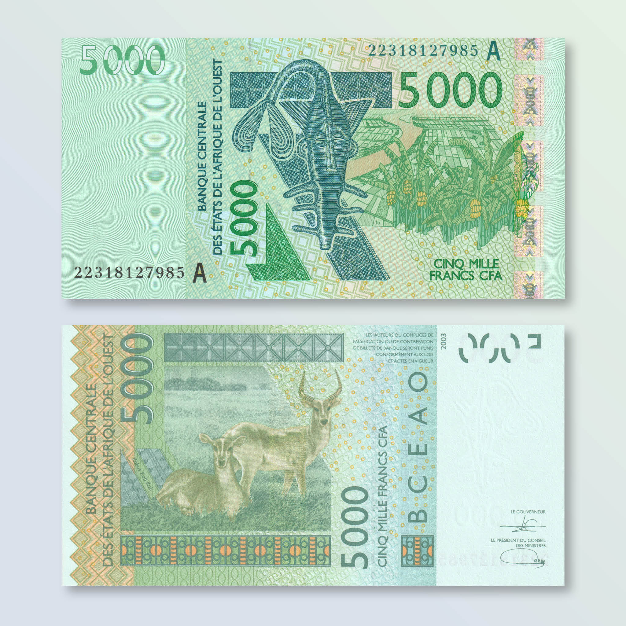 West African States, Ivory Coast, 5000 Francs, 2022, B123Av, P117A, UNC - Robert's World Money - World Banknotes