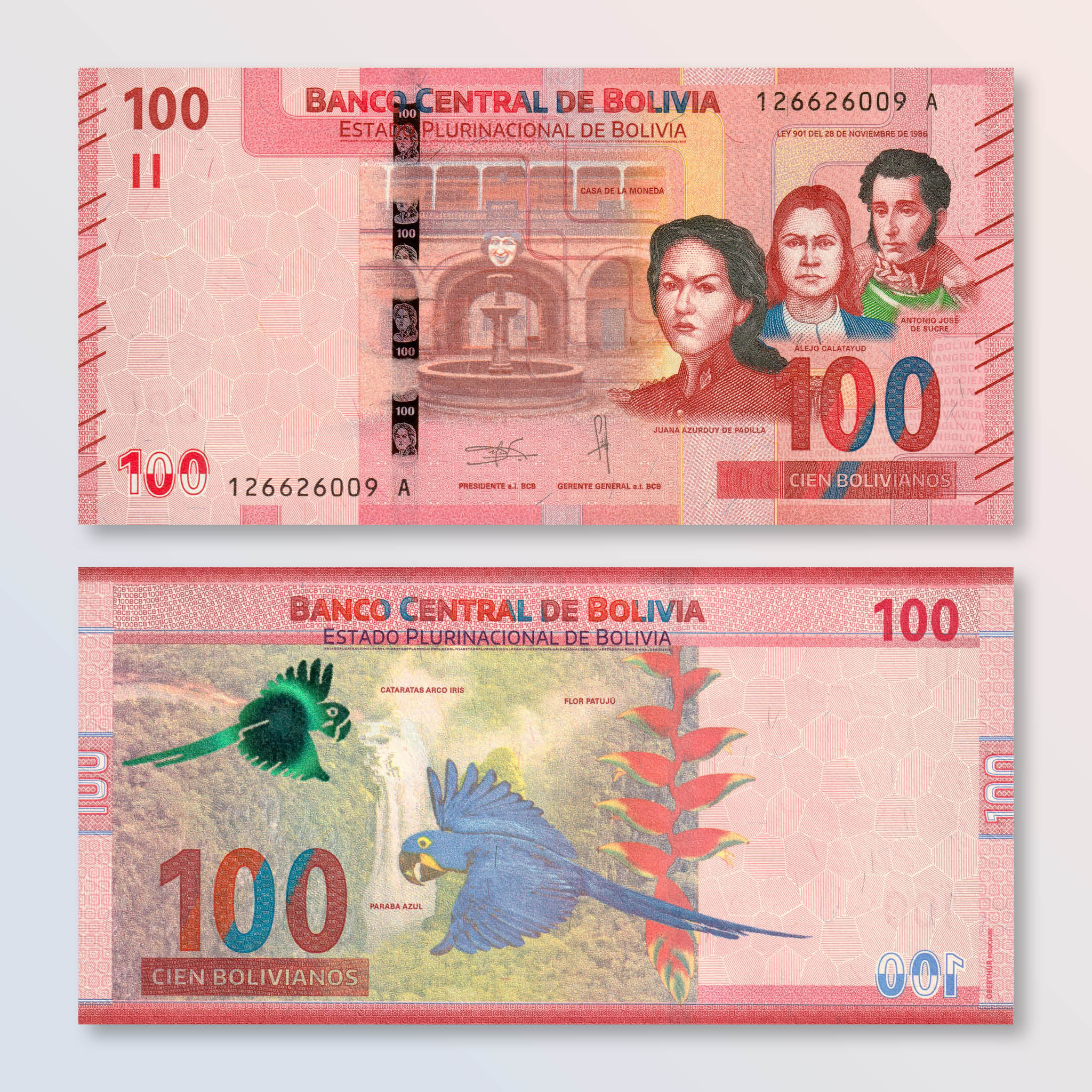 Bolivia 100 Bolivianos, 2018, B420a, UNC - Robert's World Money - World Banknotes