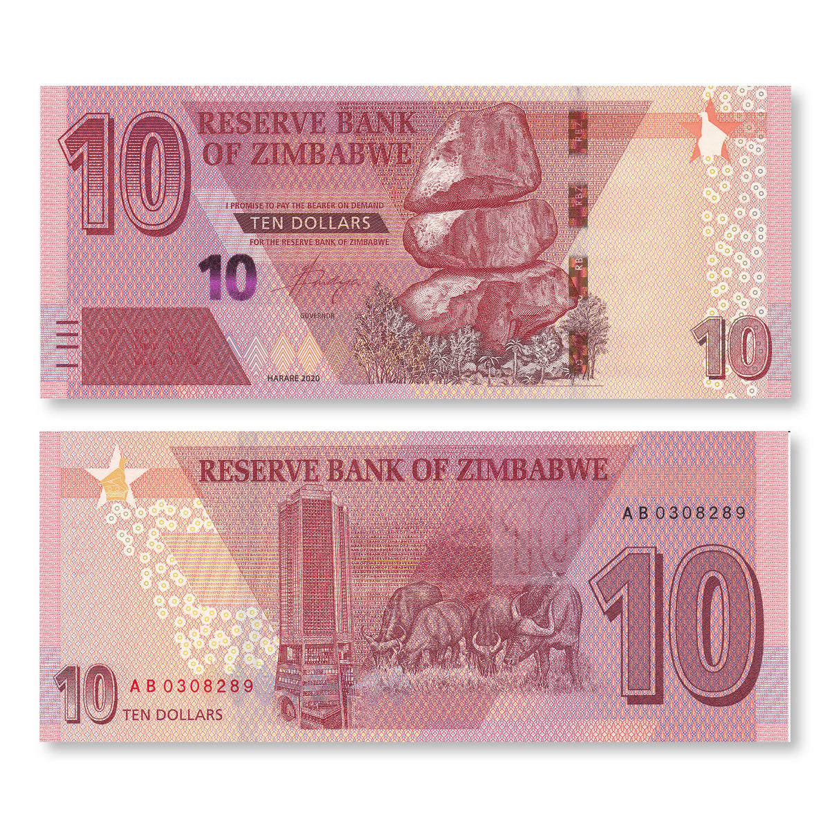 Zimbabwe 10 Dollars, 2020, B194a, UNC - Robert's World Money - World Banknotes