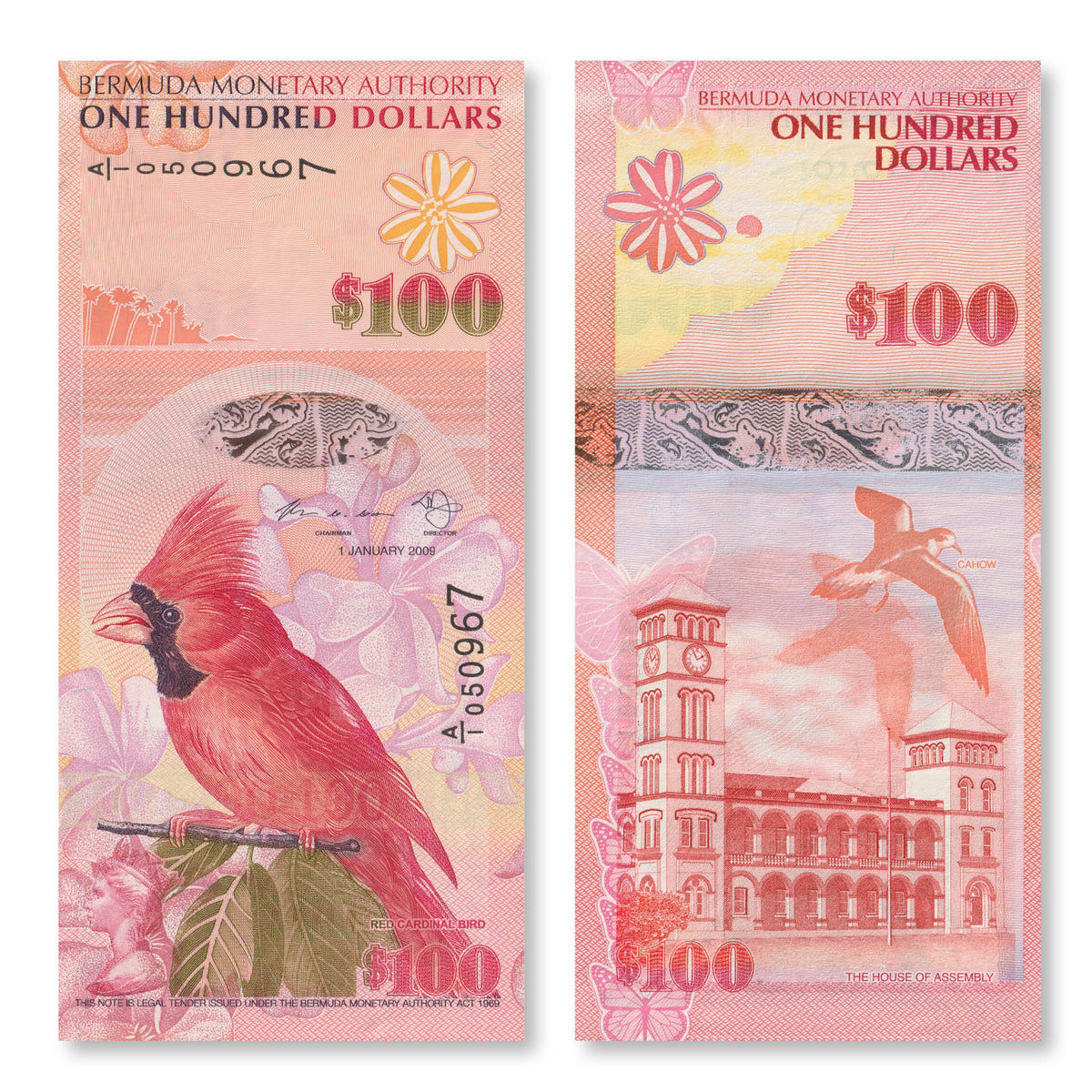 Bermuda 100 Dollars, 2009, B235a, P62a, UNC - Robert's World Money - World Banknotes