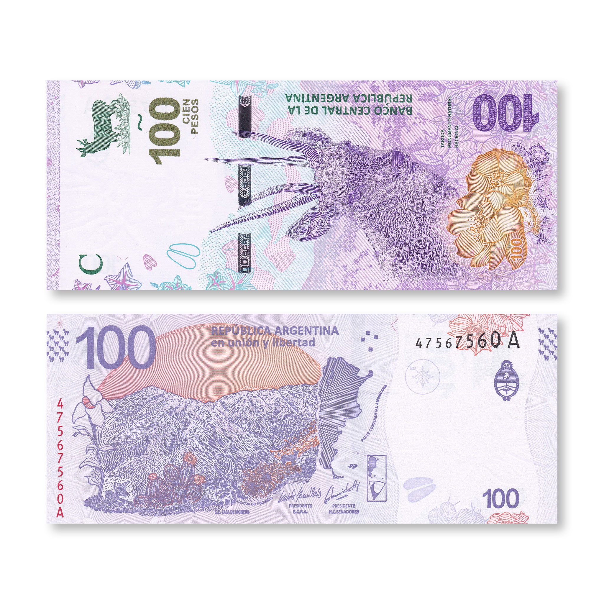 Argentina 100 Pesos, 2018, B419a, UNC - Robert's World Money - World Banknotes