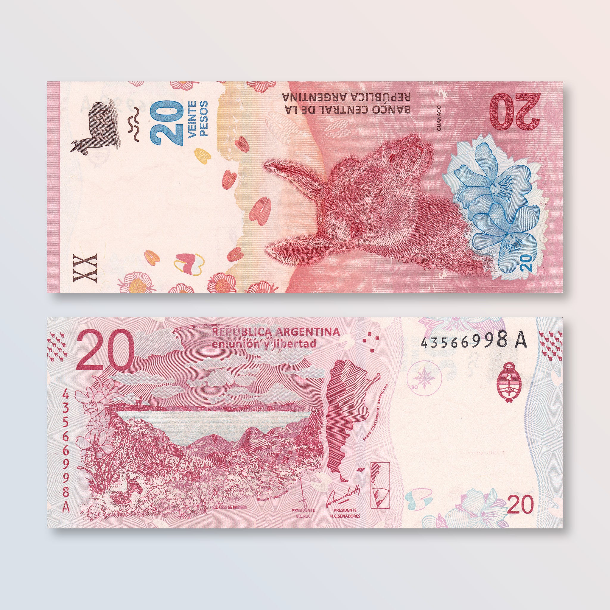 Argentina 20 Pesos, 2017, B417a, P361, UNC - Robert's World Money - World Banknotes