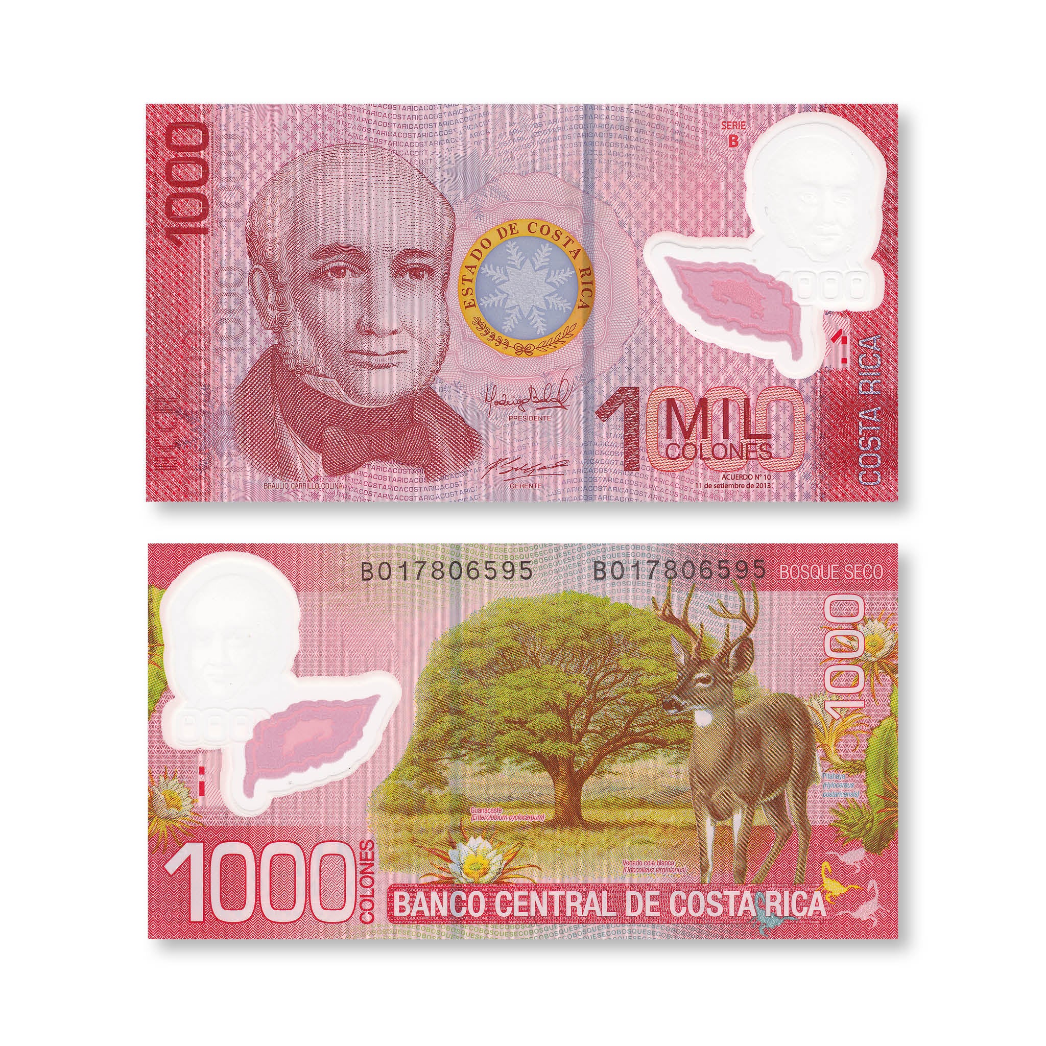 Costa Rica 1000 Colones, 2013, B558a, P274b, UNC - Robert's World Money - World Banknotes